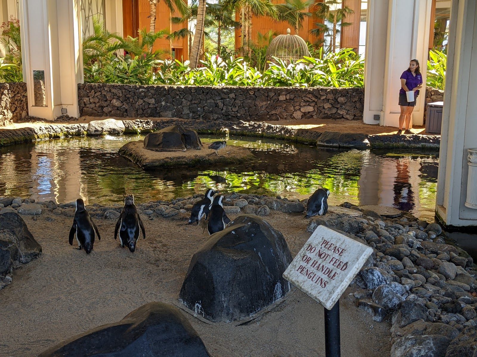 Photo 7 of Hyatt Vacation Club at Ka’anapali Beach in Kāʻanapali, Maui
