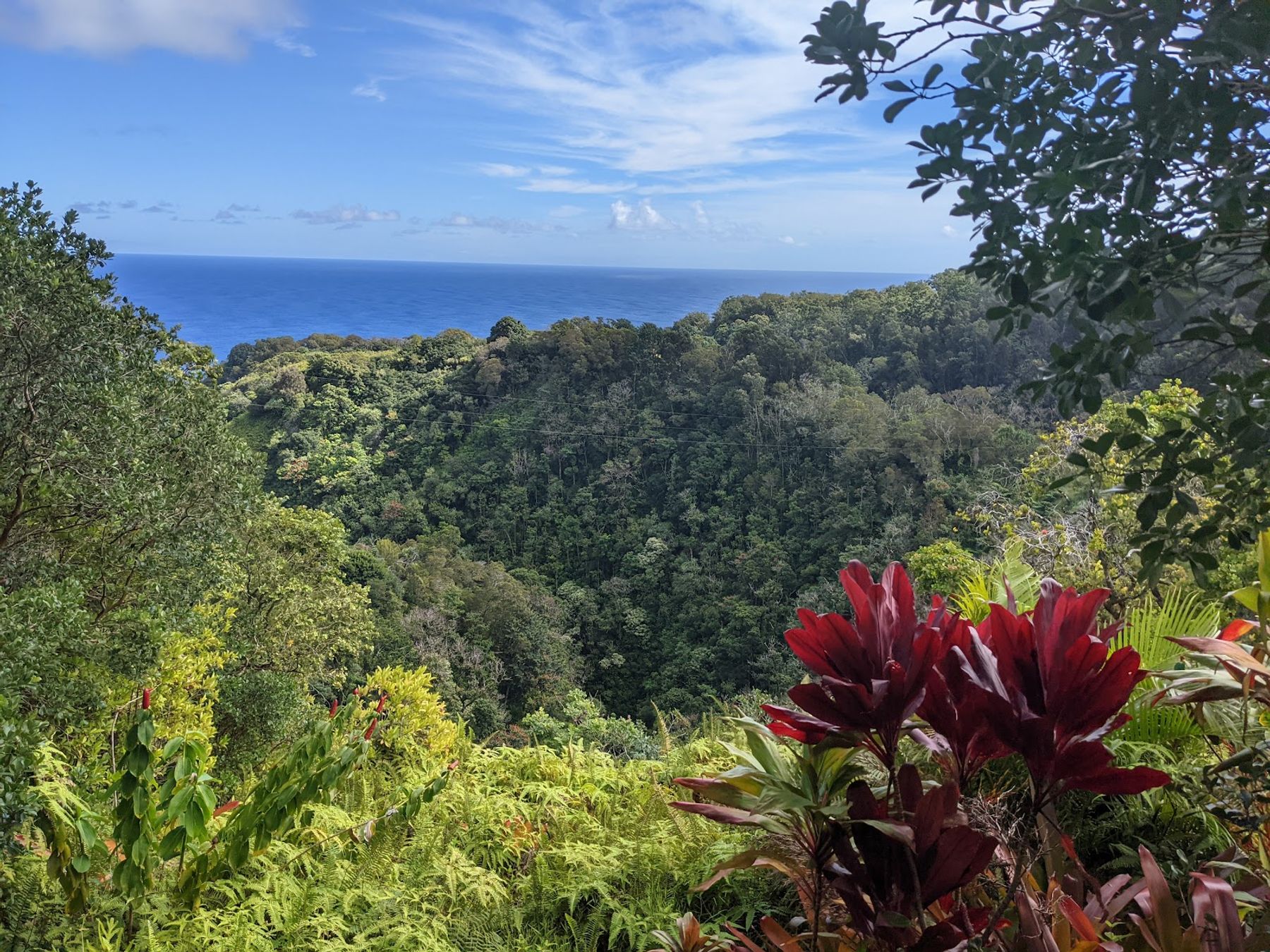 Photo 5 of Garden of Eden Arboretum in Keʻanae-Nāhiku, Maui