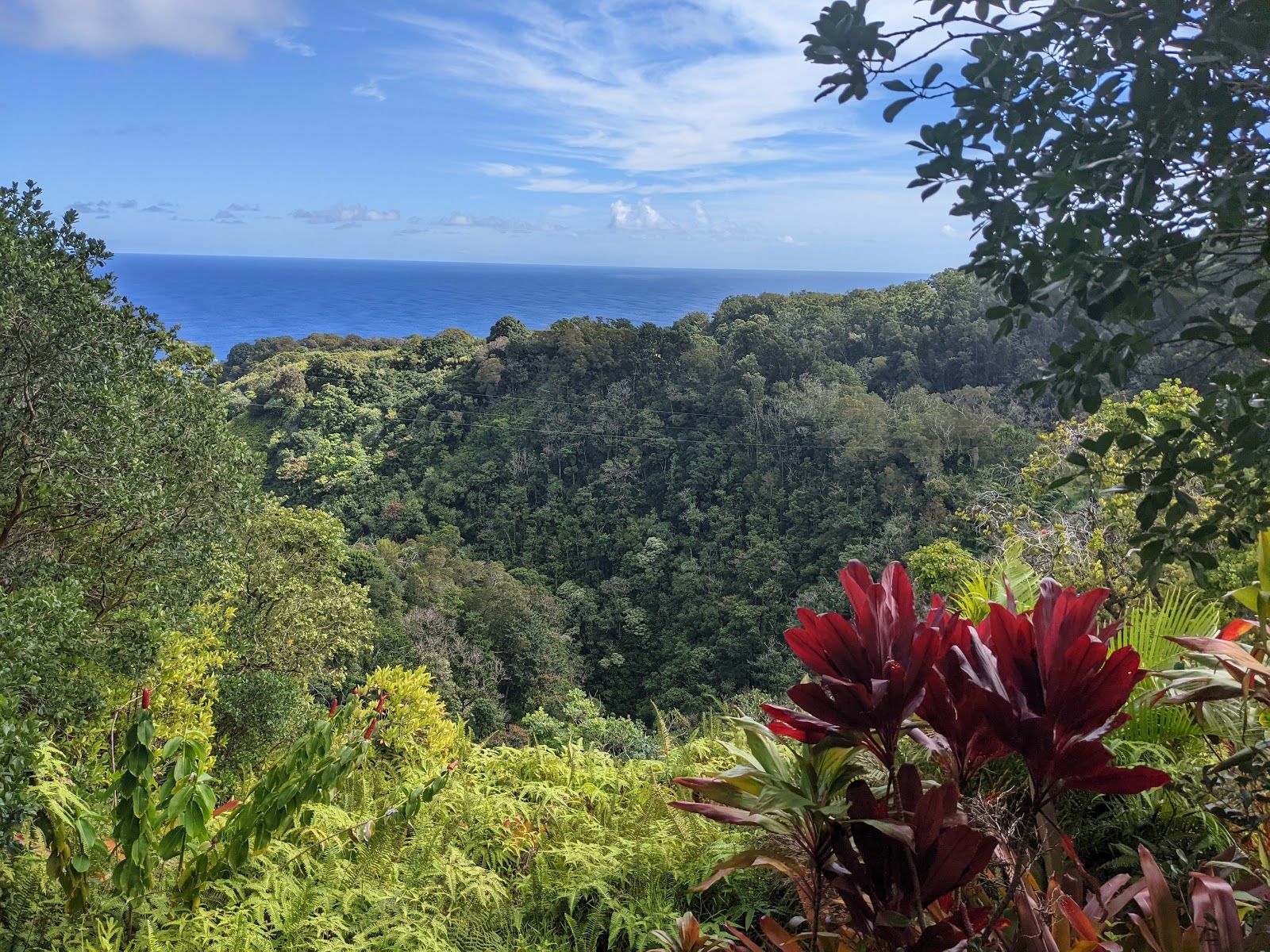 Photo 5 of Garden of Eden Arboretum in Keʻanae-Nāhiku, Maui