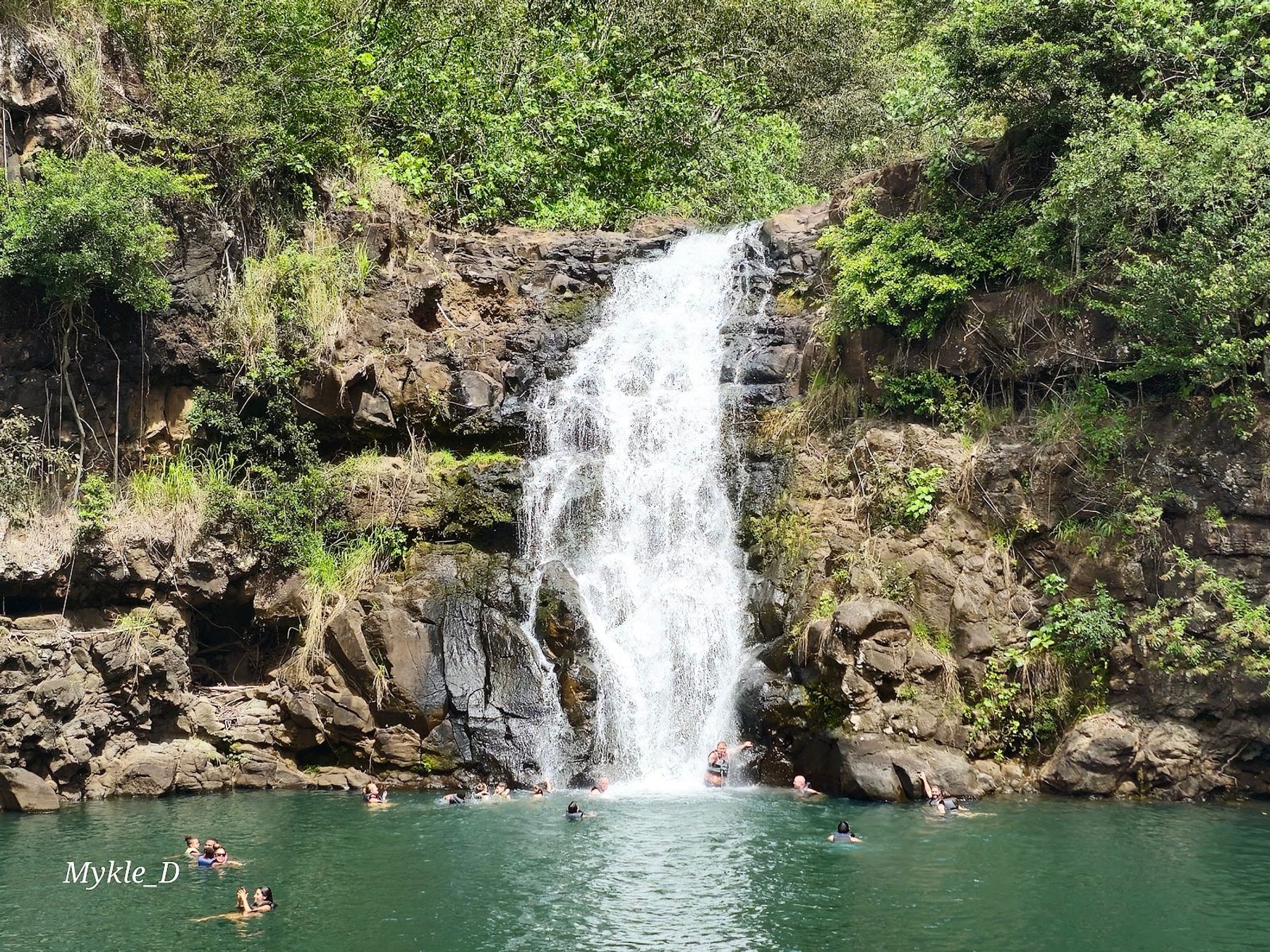 Photo 1 of Waimea Valley in Pūpūkea, Oahu