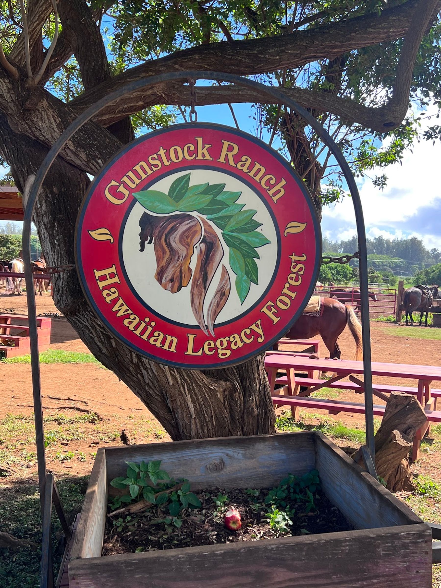 Photo 6 of Gunstock Ranch in Kahuku & Turtle Bay, Oahu