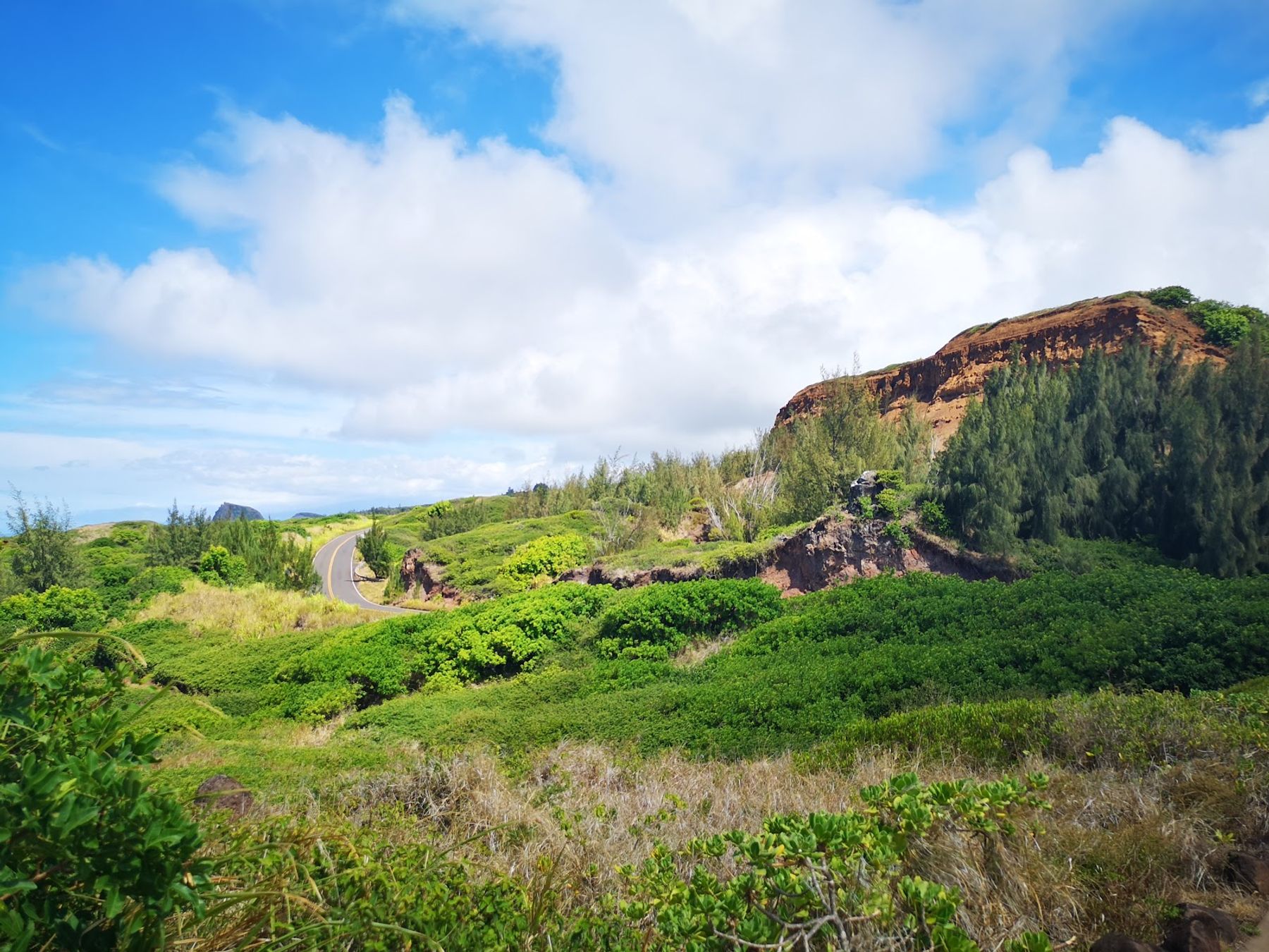 Photo 4 of ʻOhai Trail in Wailuku, Maui
