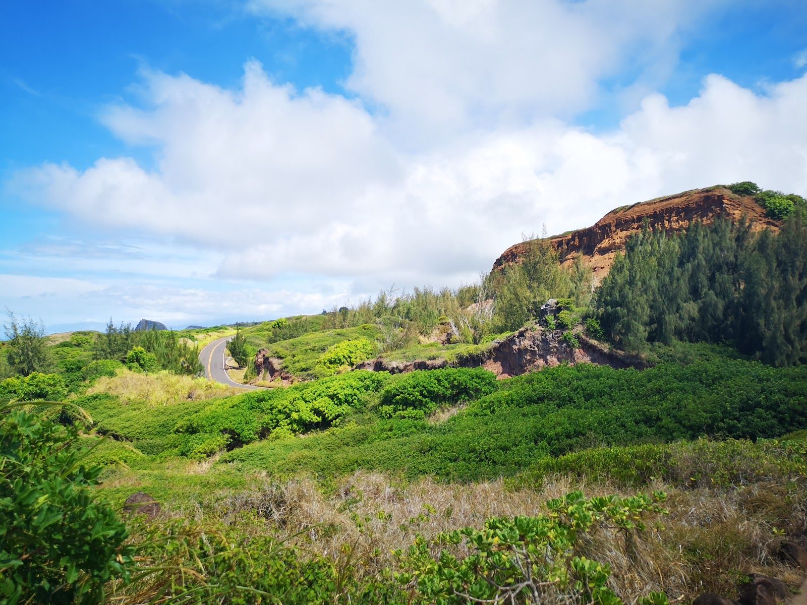 Photo 4 of ʻOhai Trail in Wailuku, Maui