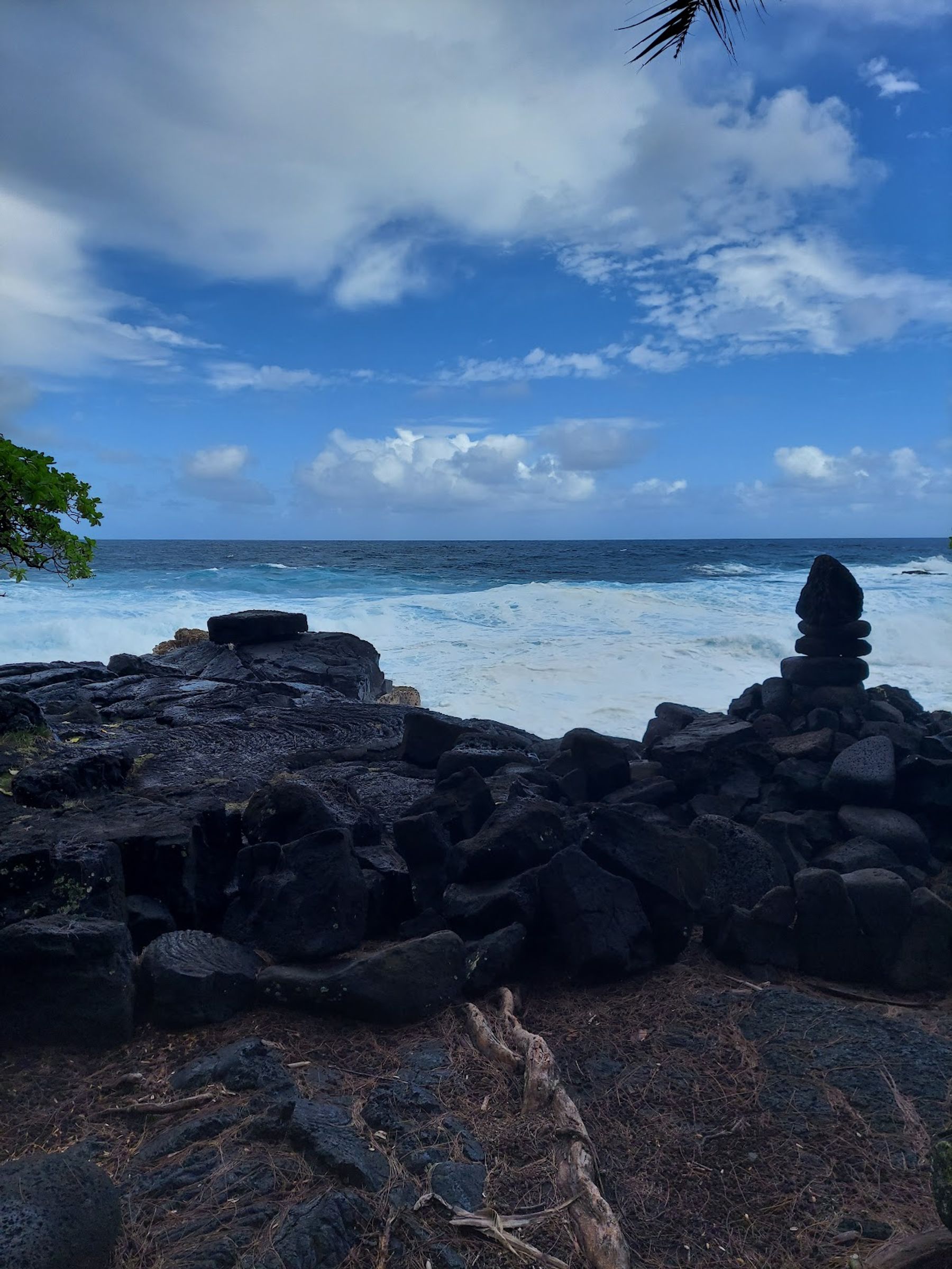 Photo 8 of Taco Aina in Pāhoa, Big Island