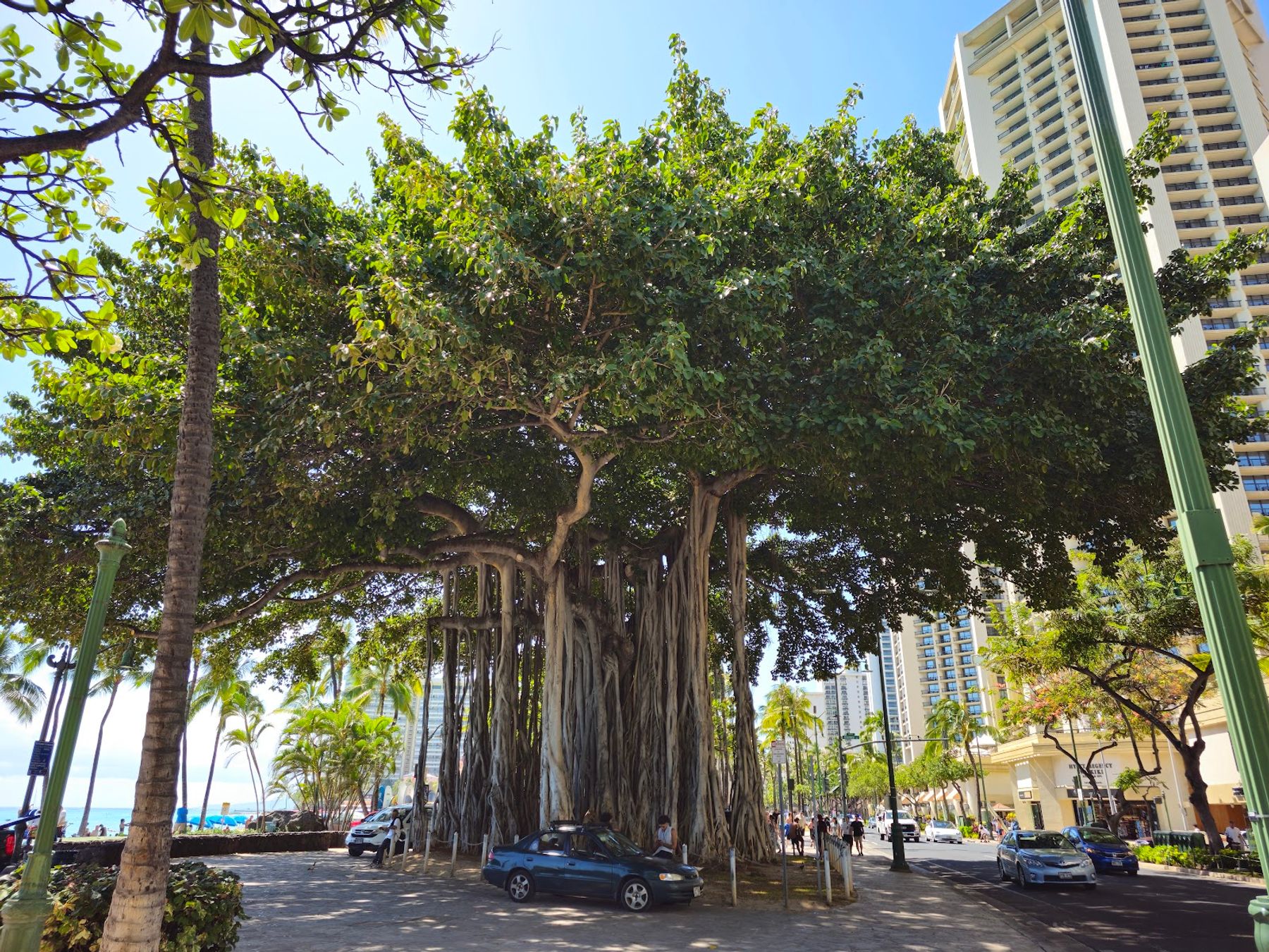 Photo 3 of Ala Moana Regional Park in Ala Moana & Mōʻiliʻili, Oahu