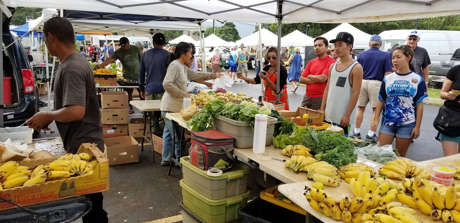 Kauai Community Market in Lihue, Kaua‘i photo 6