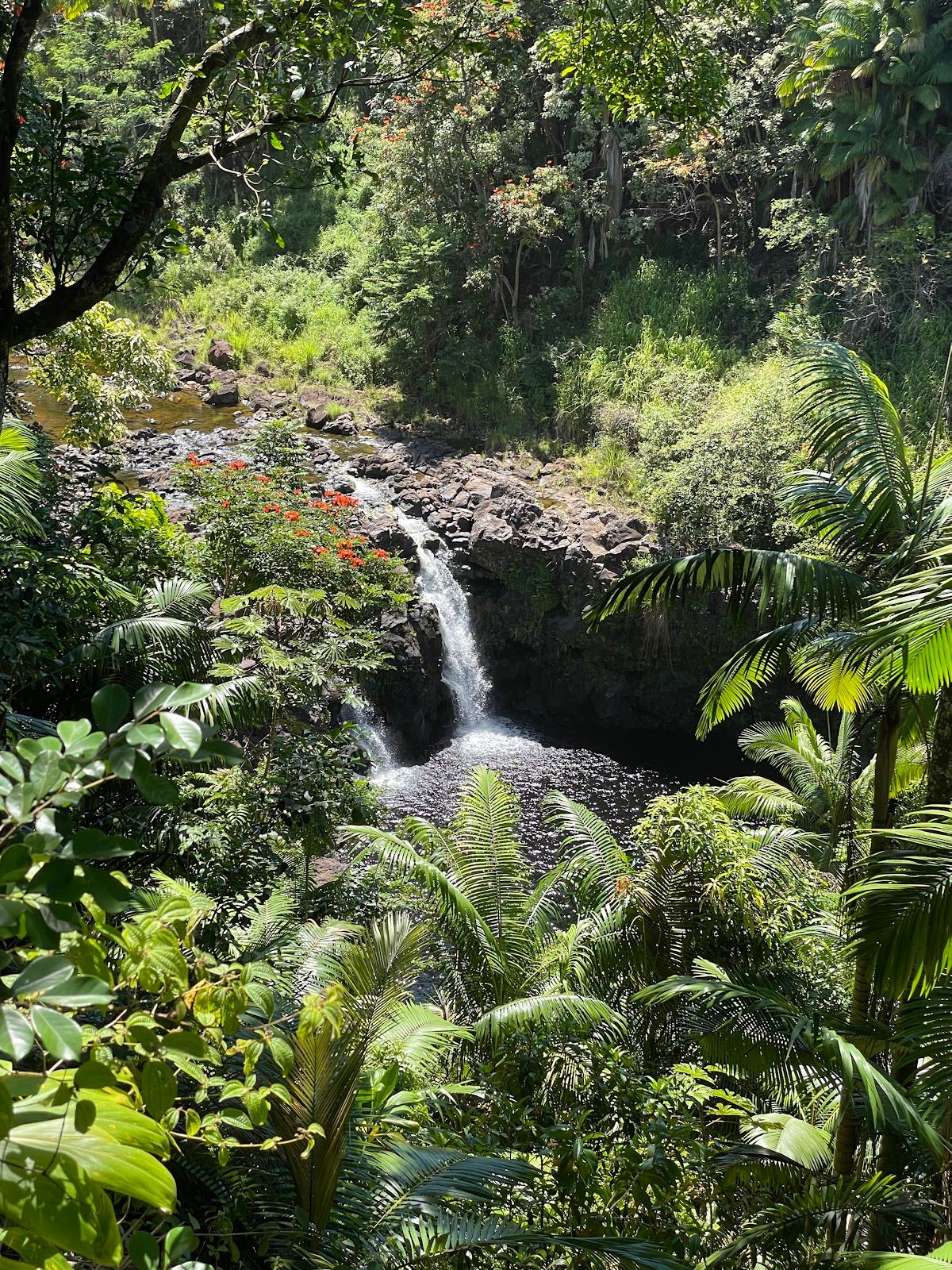 Photo 2 of Umauma Falls in Greater Hilo, Big Island