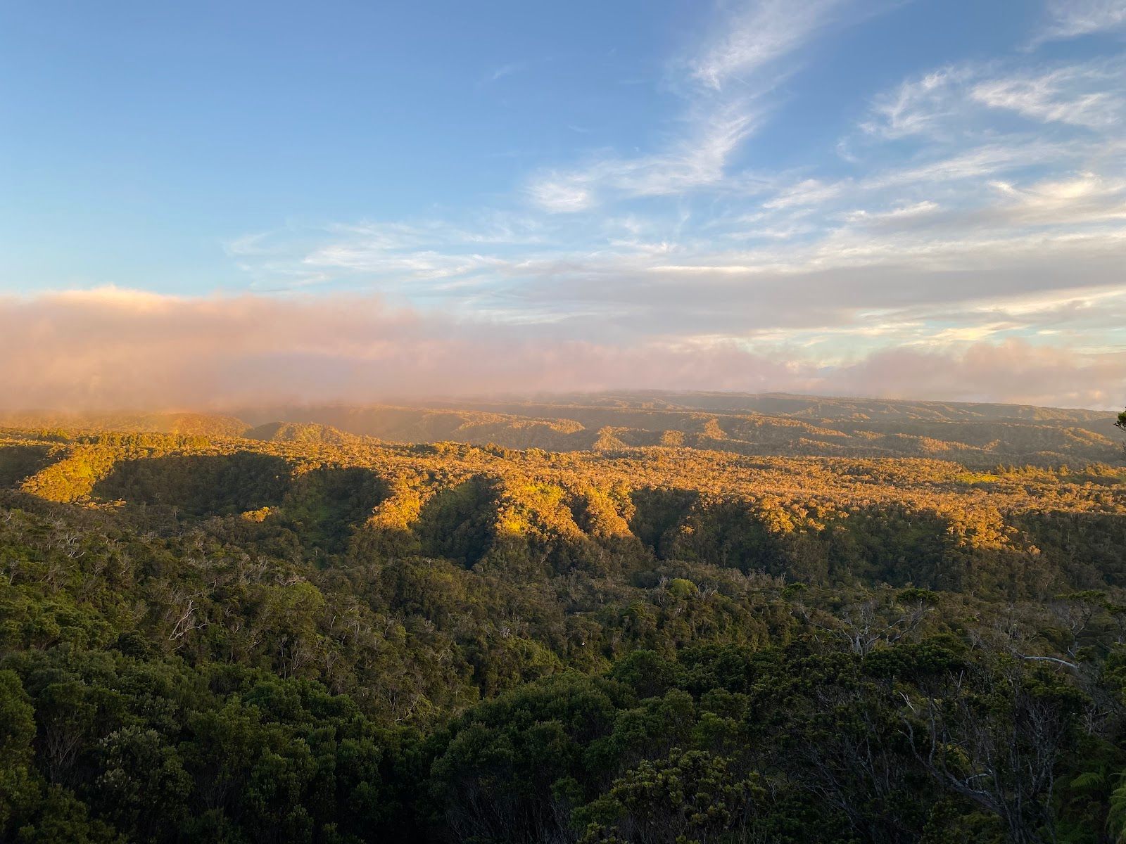 Pu’u O Kila Lookout in Waimea, Kaua‘i photo 3