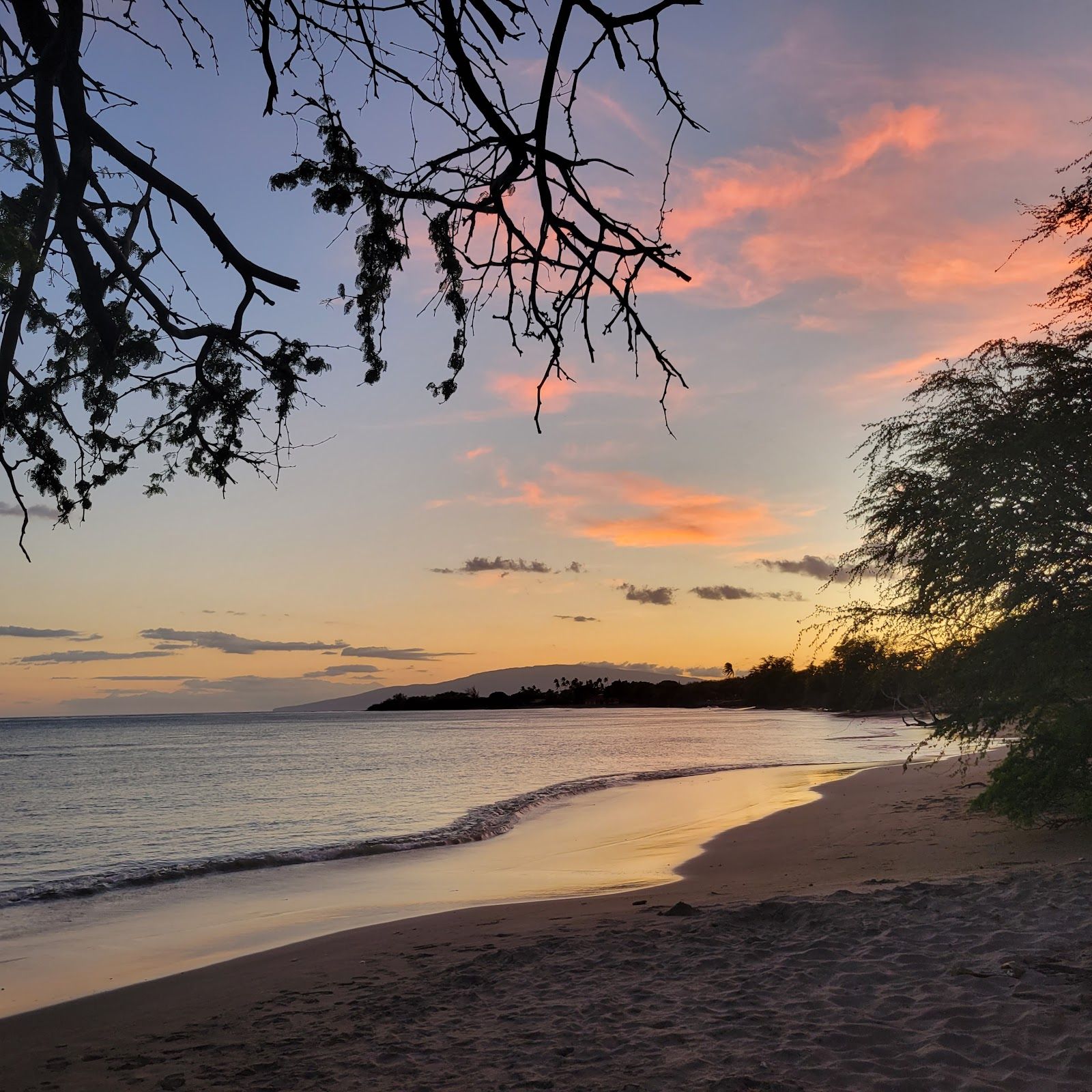Photo 5 of Olowalu Beach in Olowalu, Maui