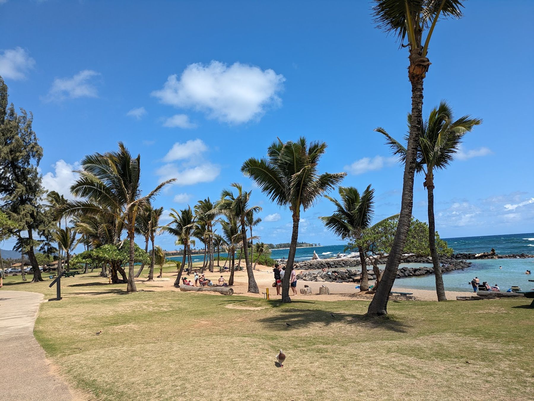 Lydgate Beach Park in Lihue, Kaua‘i photo 3
