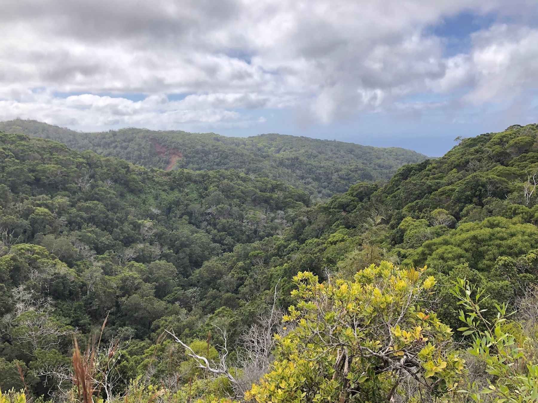 Awaʻawapuhi Trail in Waimea, Kaua‘i photo 4