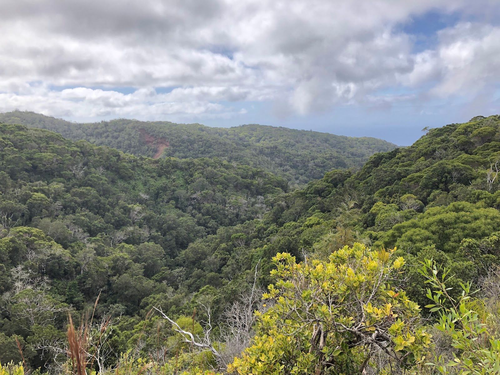 Awaʻawapuhi Trail in Waimea, Kaua‘i photo 4