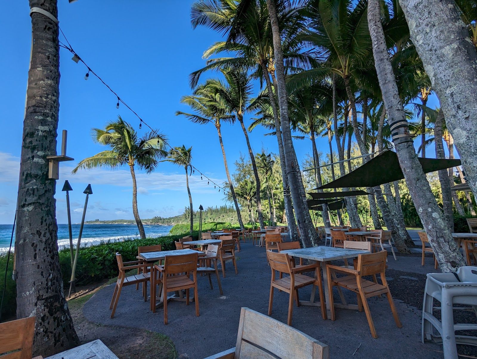 Photo 7 of D.T. Fleming Beach Park in Kapalua, Maui
