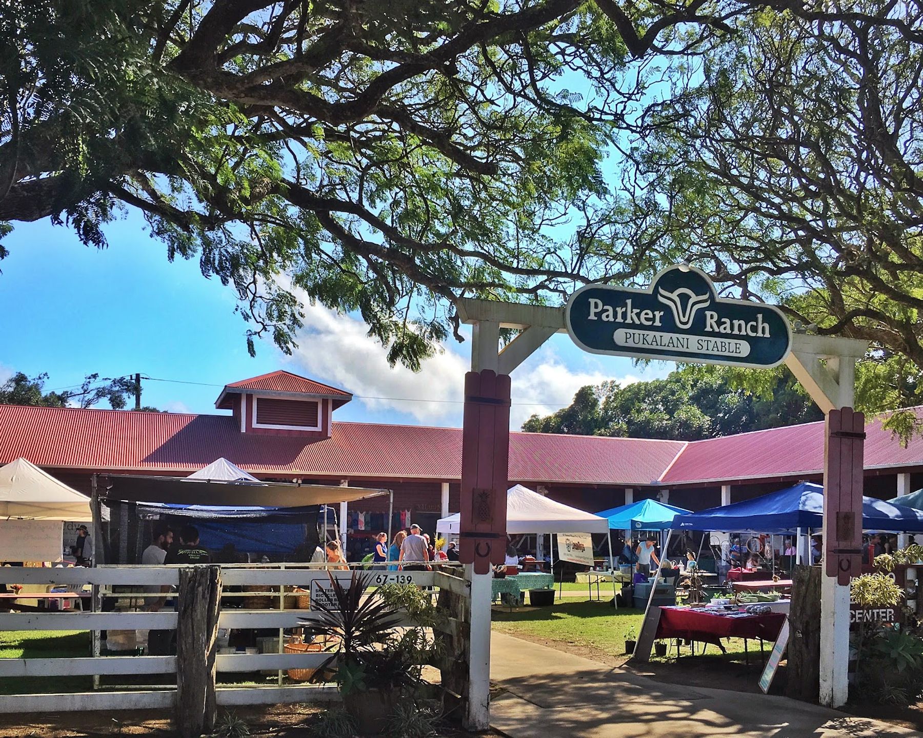 Photo 7 of Waimea Midweek Market in Waimea, Big Island