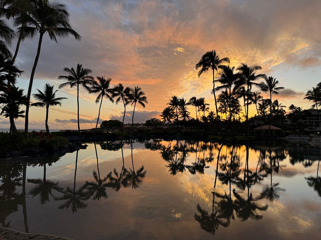 Palm tree silhouettes reflected in a calm resort lagoon under a glowing orange and gold sunset sky