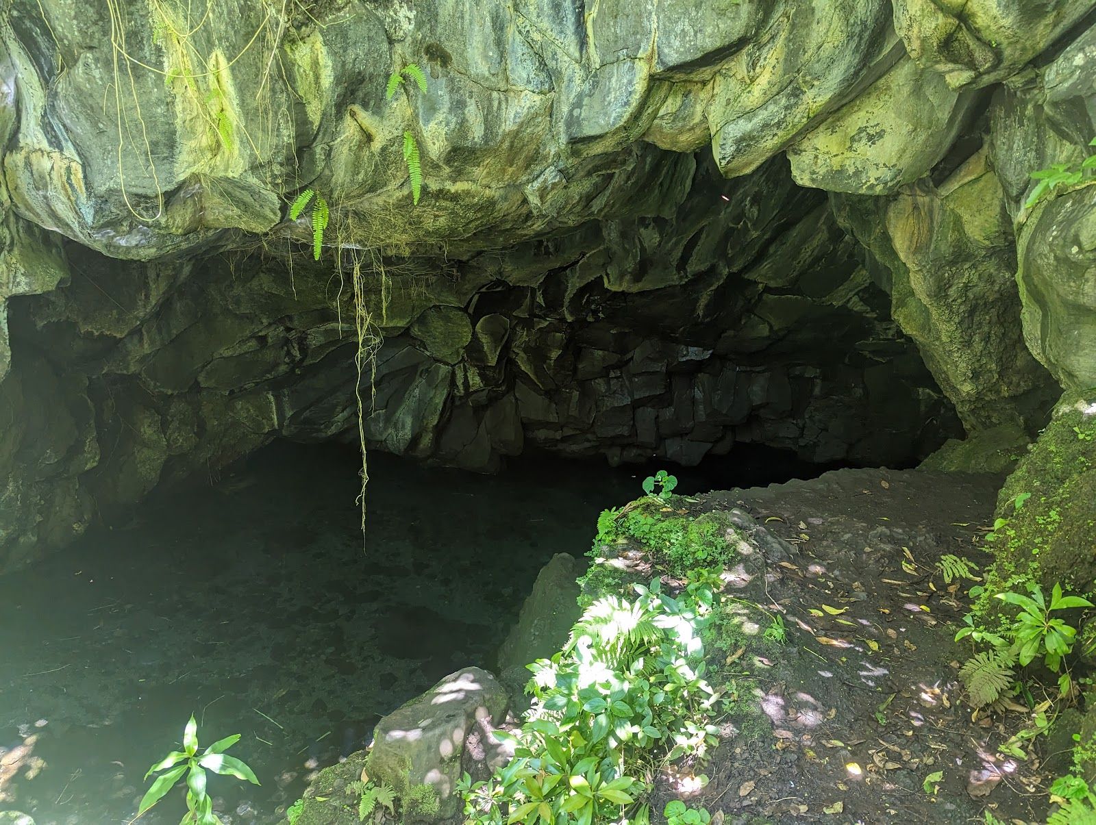 Photo 5 of Ke Ala Loa O Maui / Piilani Trail in Hāna, Maui