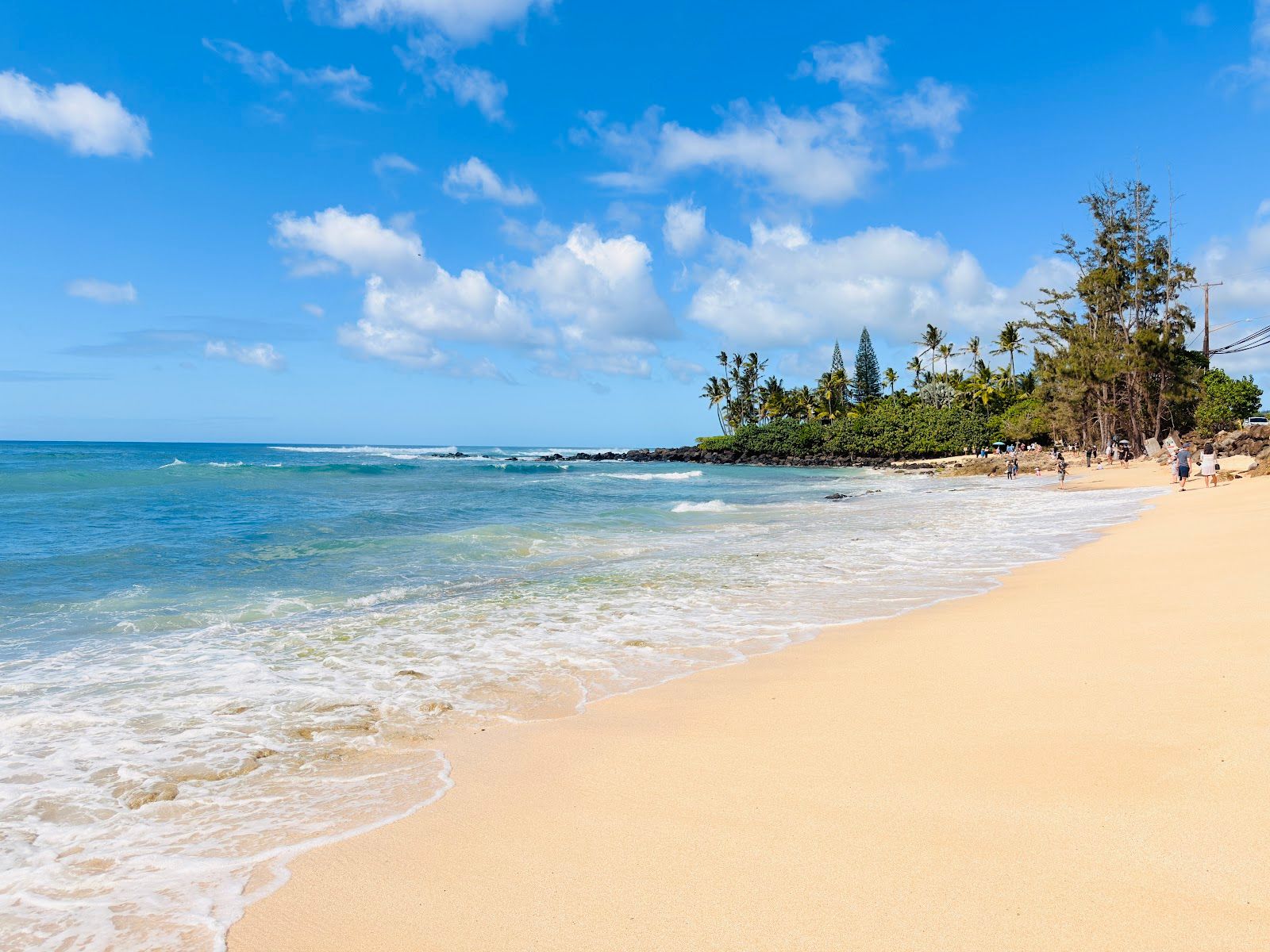 Photo 6 of Laniakea Beach in Haleʻiwa, Oahu