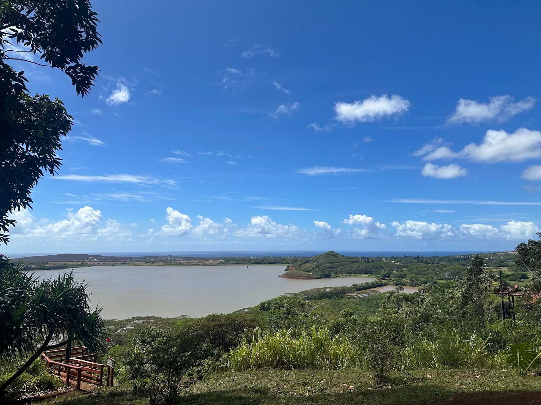 Koloa Zipline in Kōloa, Kaua‘i photo 2
