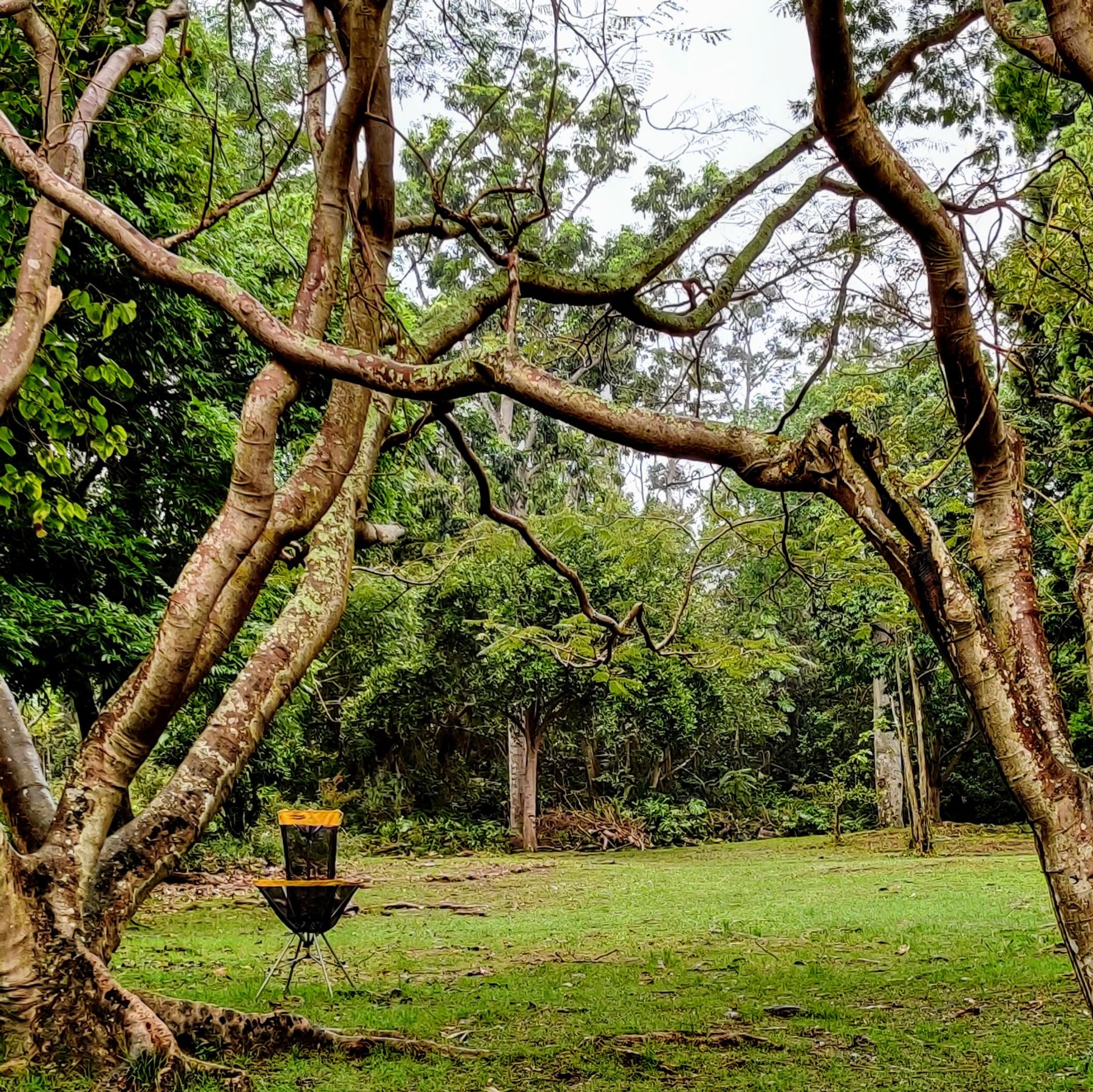 Photo 10 of Manuka State Wayside in South Point, Big Island