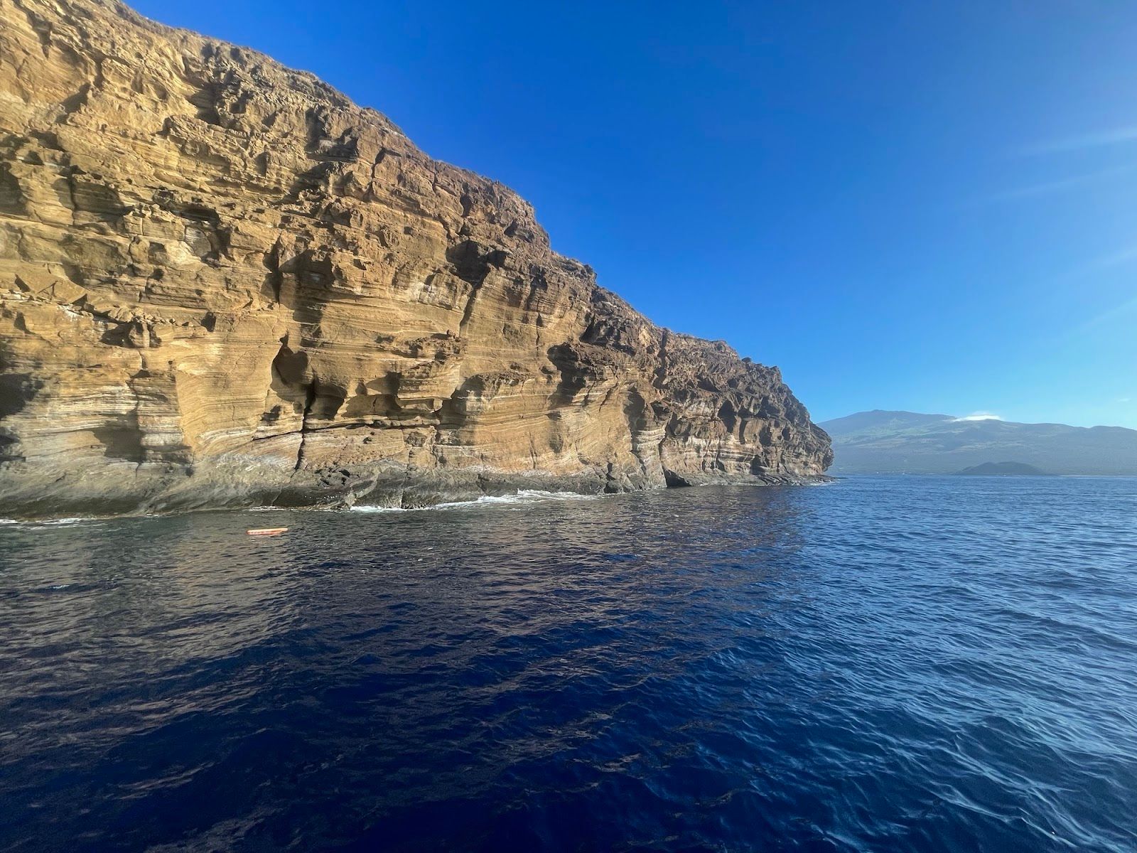 Photo 3 of Island Style Diving in Wailea, Maui