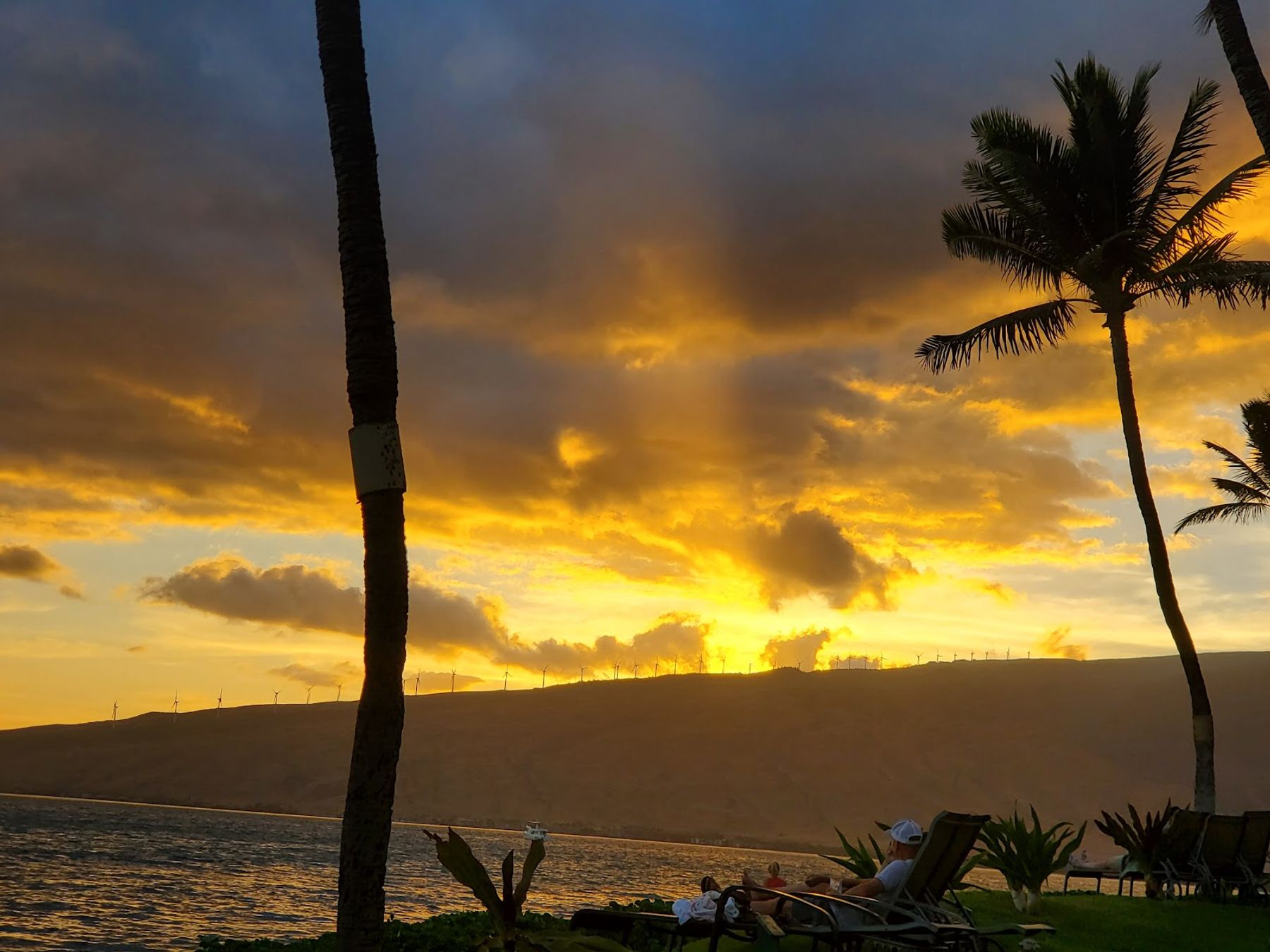 Photo 9 of Dina's Sandwitch in Kīhei, Maui