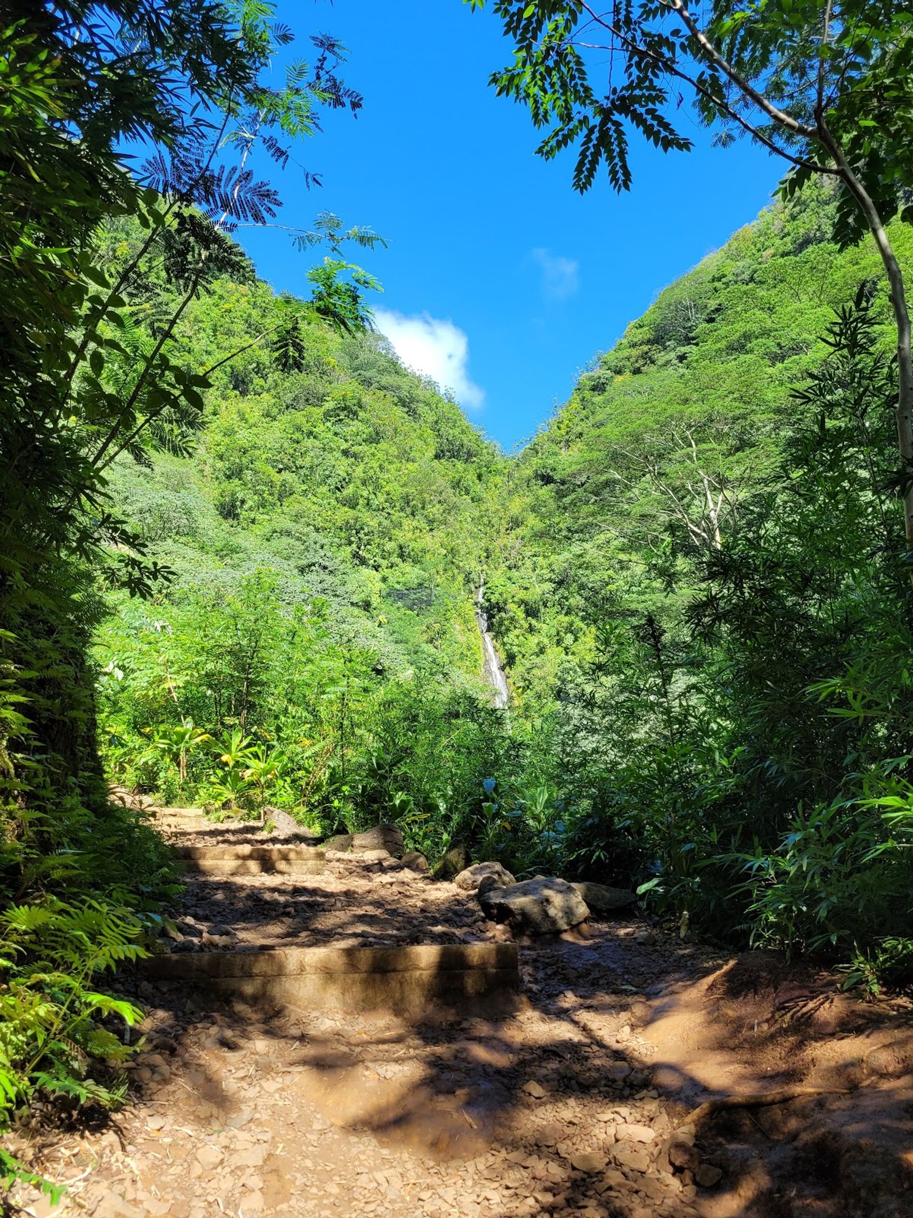 Photo 7 of Manoa Valley District Park in Mānoa, Makiki & Nuʻuanu, Oahu