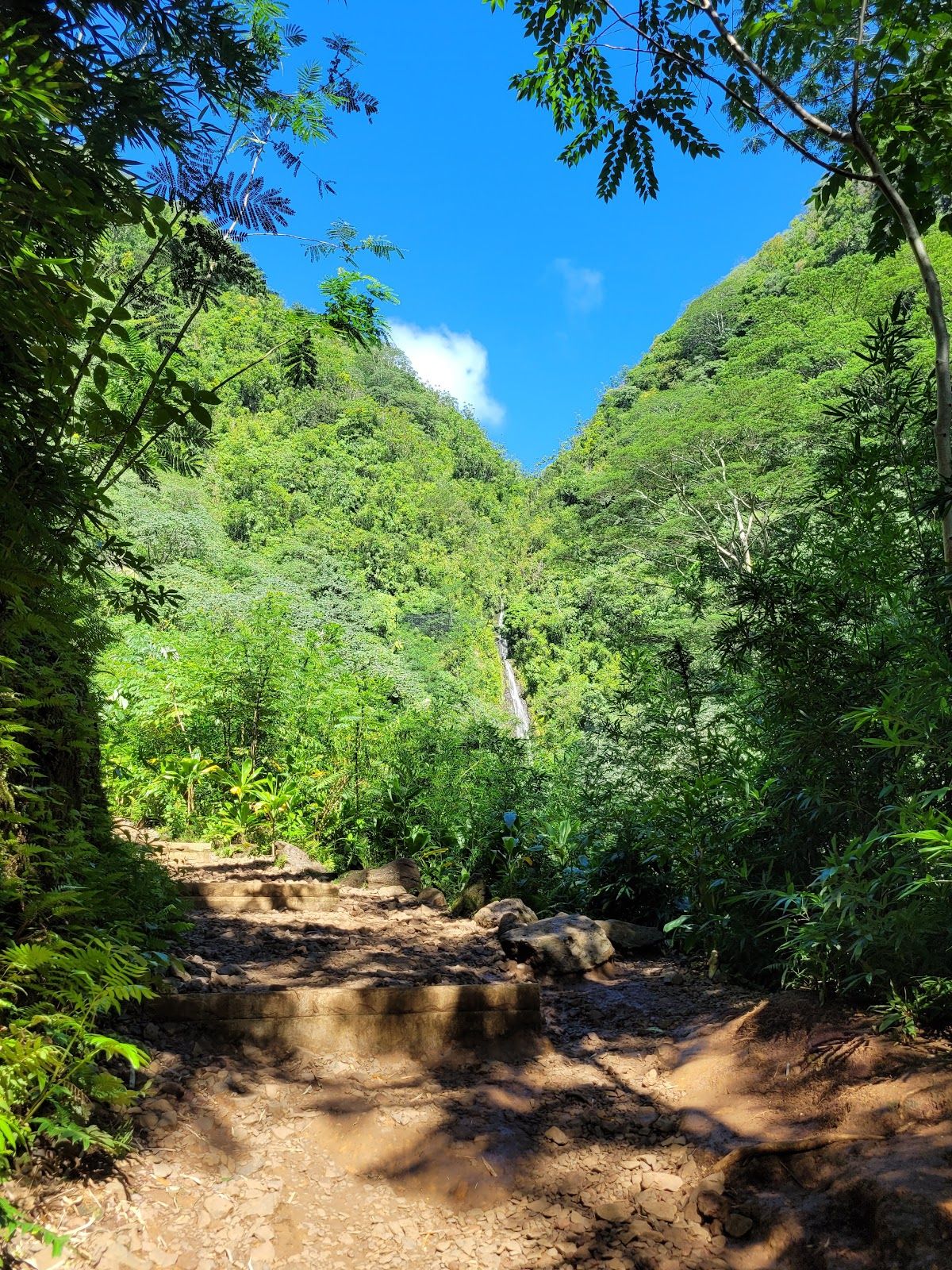 Photo 7 of Manoa Valley District Park in Mānoa, Makiki & Nuʻuanu, Oahu