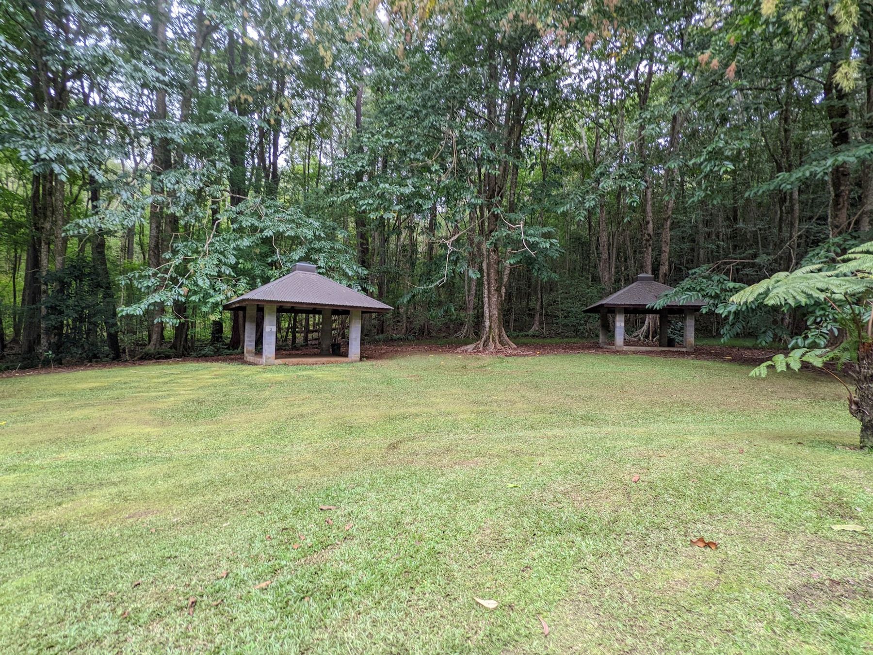 Photo 3 of Kalōpā State Recreation Area in Honokaʻa, Big Island