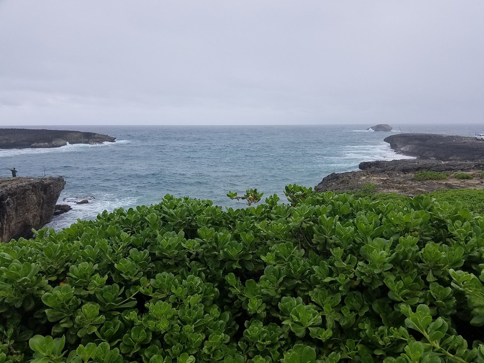 Photo 5 of Lāʻie Point State Wayside in Lāʻie, Oahu