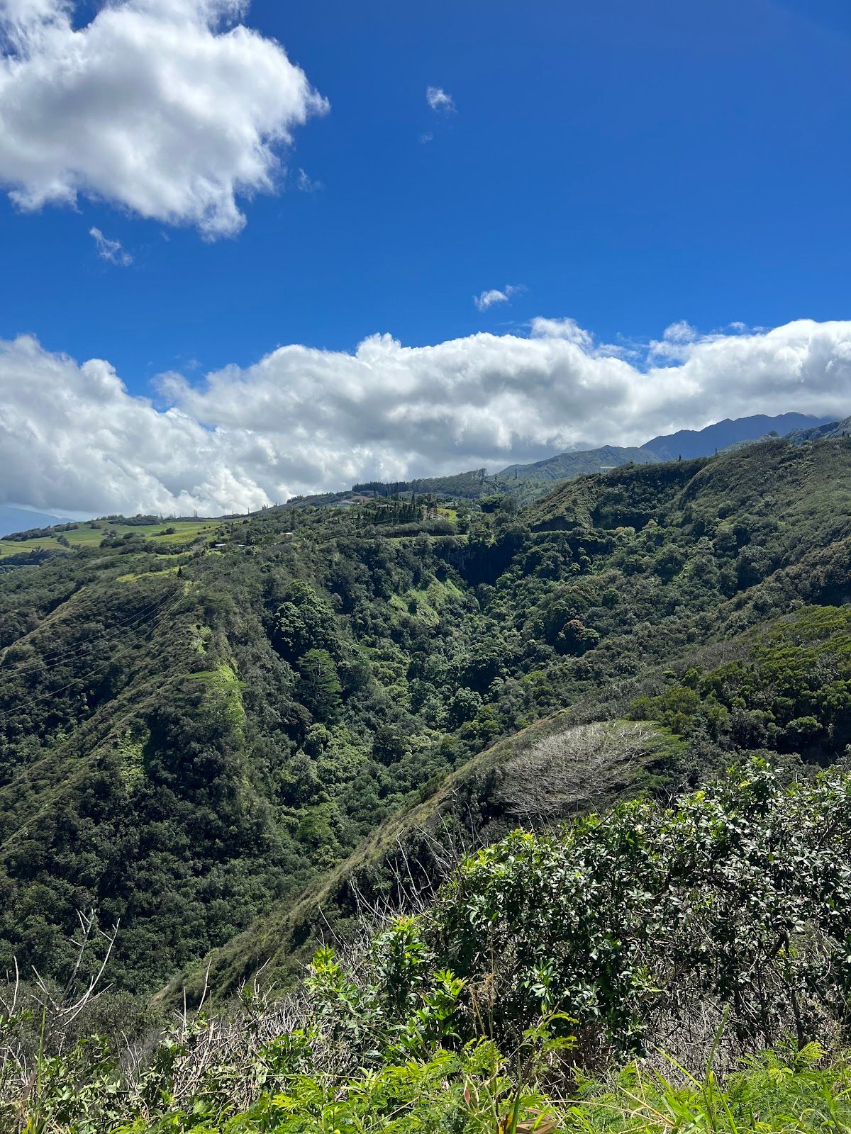 Photo 8 of Makamakaole Trail in Wailuku, Maui