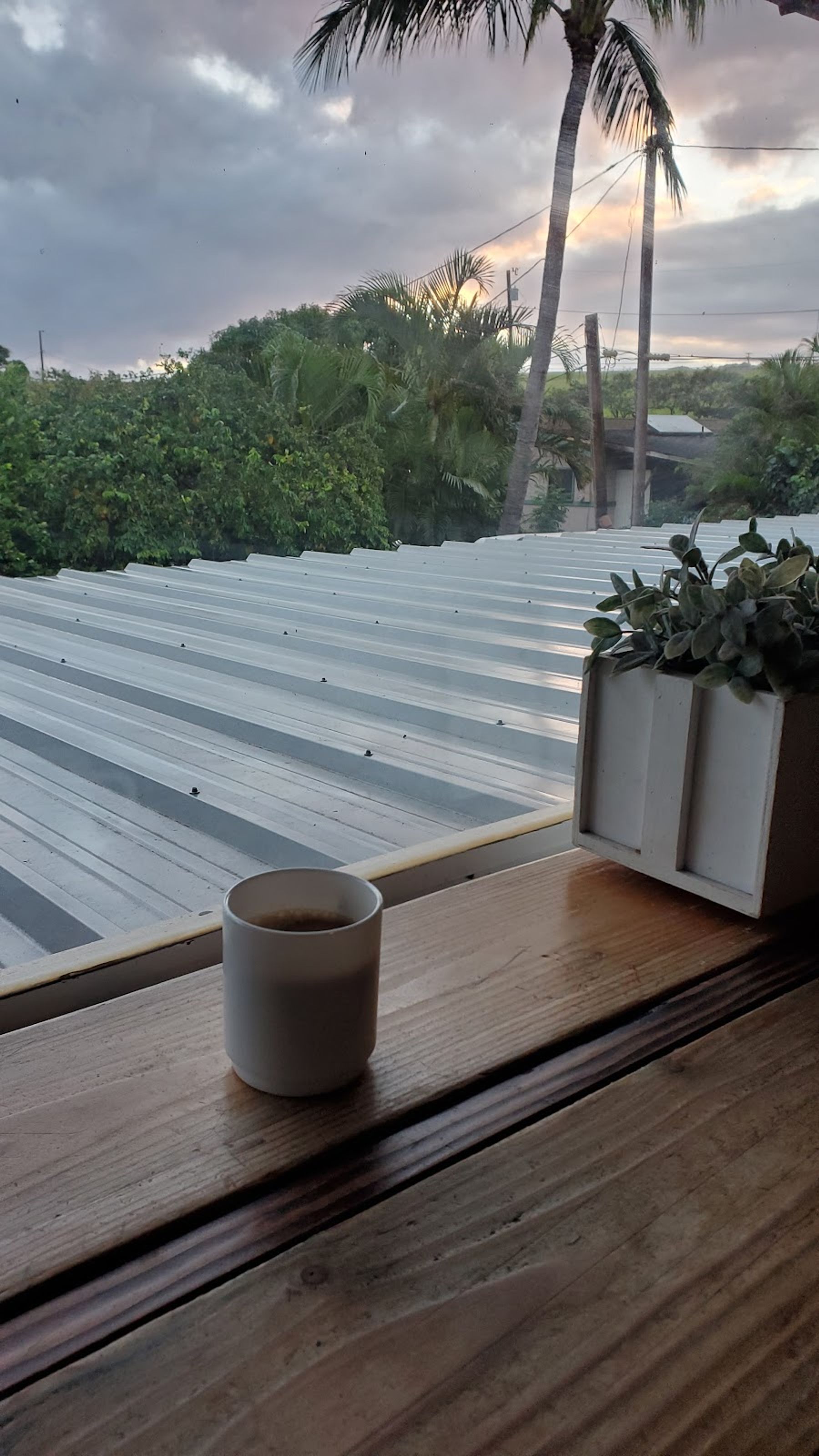 Photo 7 of Aloha Surf Hostel in Pāʻia, Maui