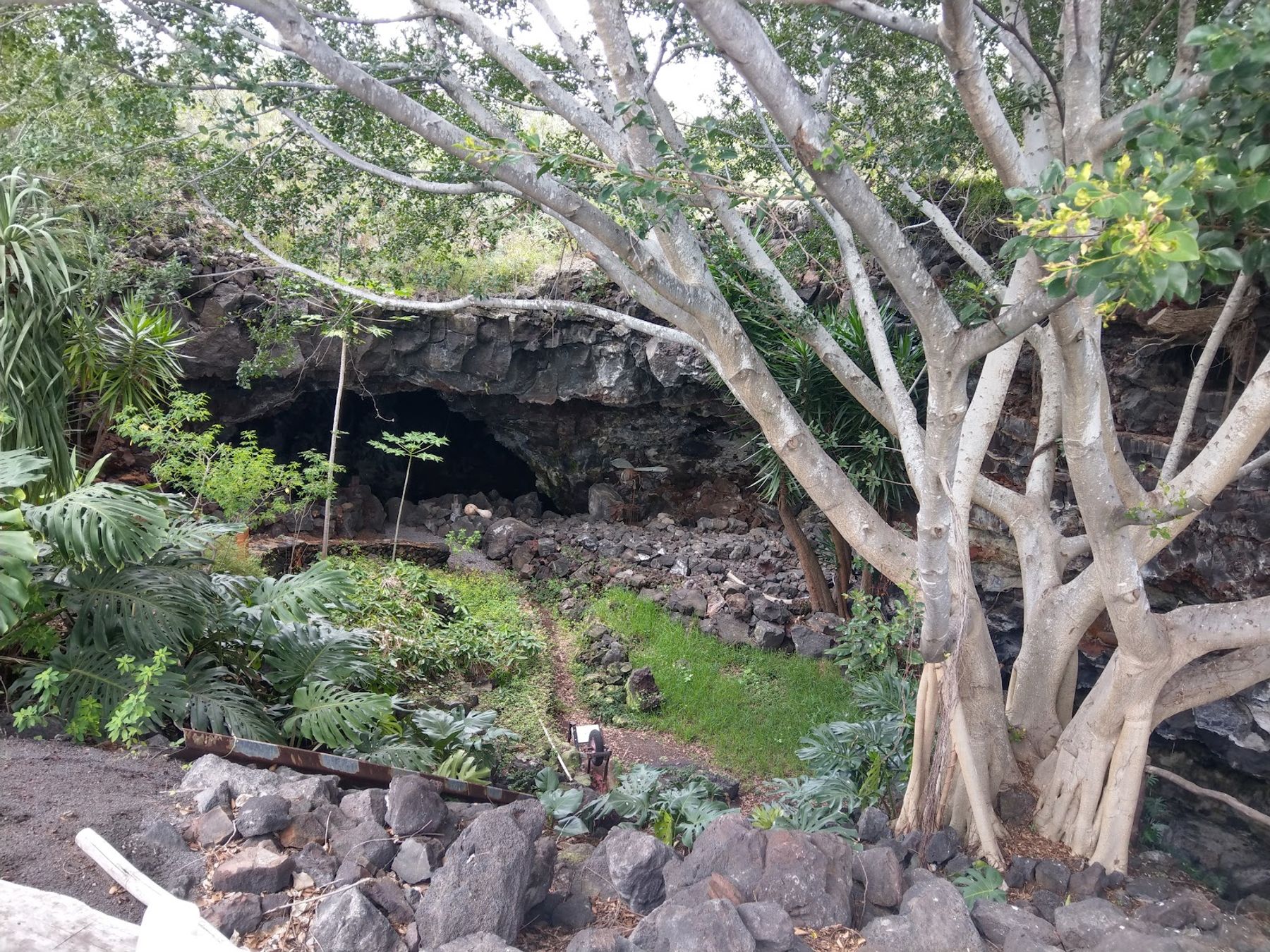 Photo 8 of Kula Kai Cavern in South Point, Big Island