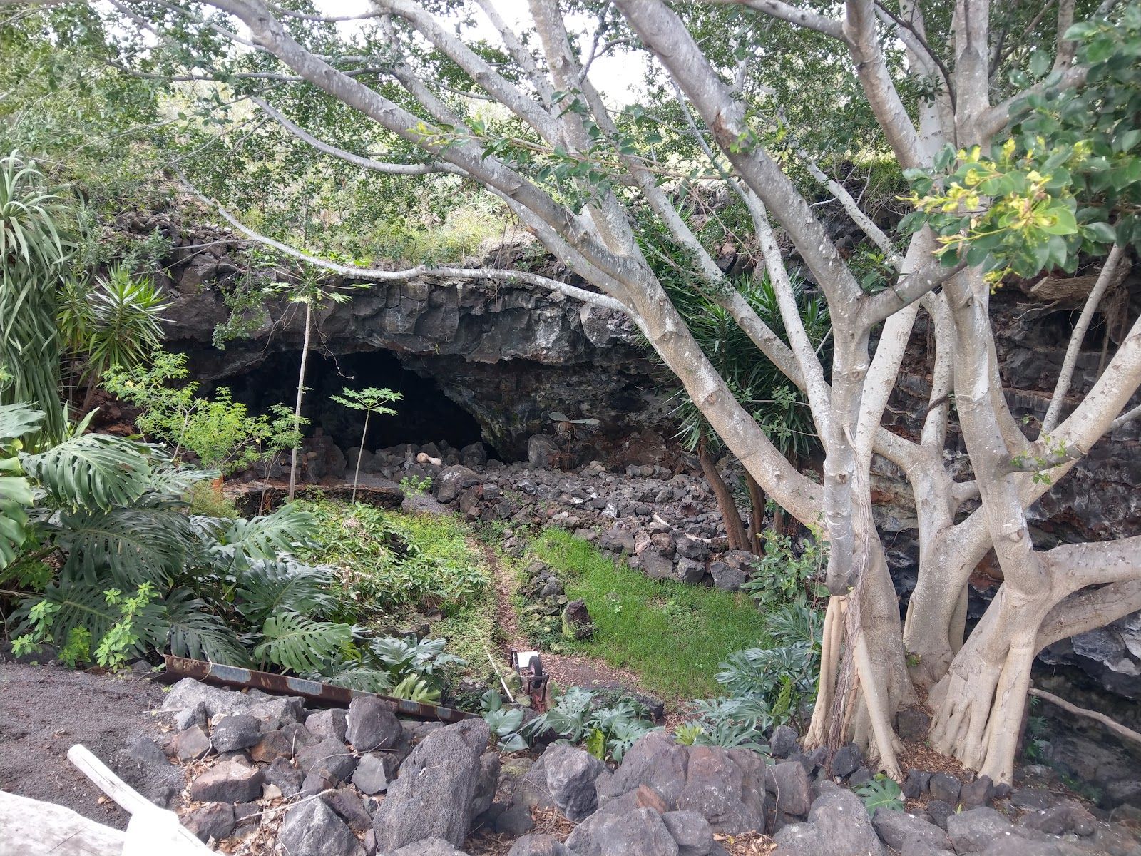 Photo 8 of Kula Kai Cavern in South Point, Big Island