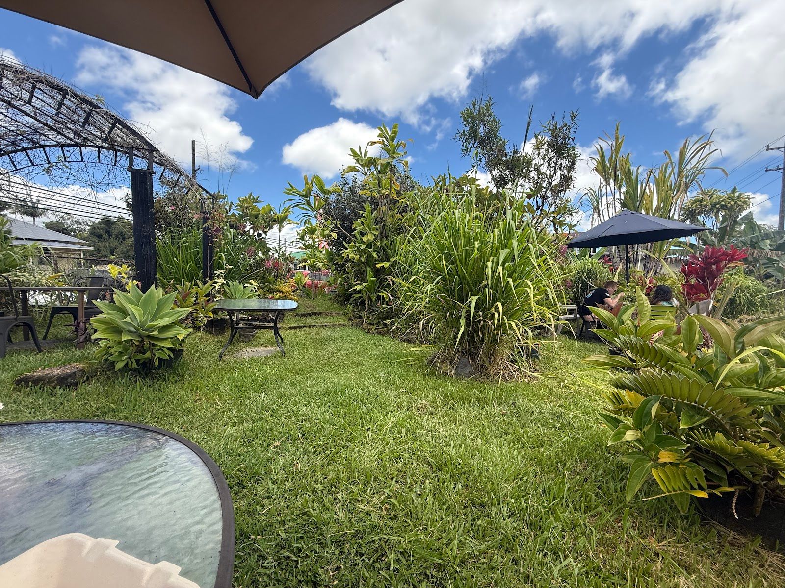 Photo 5 of Saucy Mama's LLC in Mountain View, Big Island