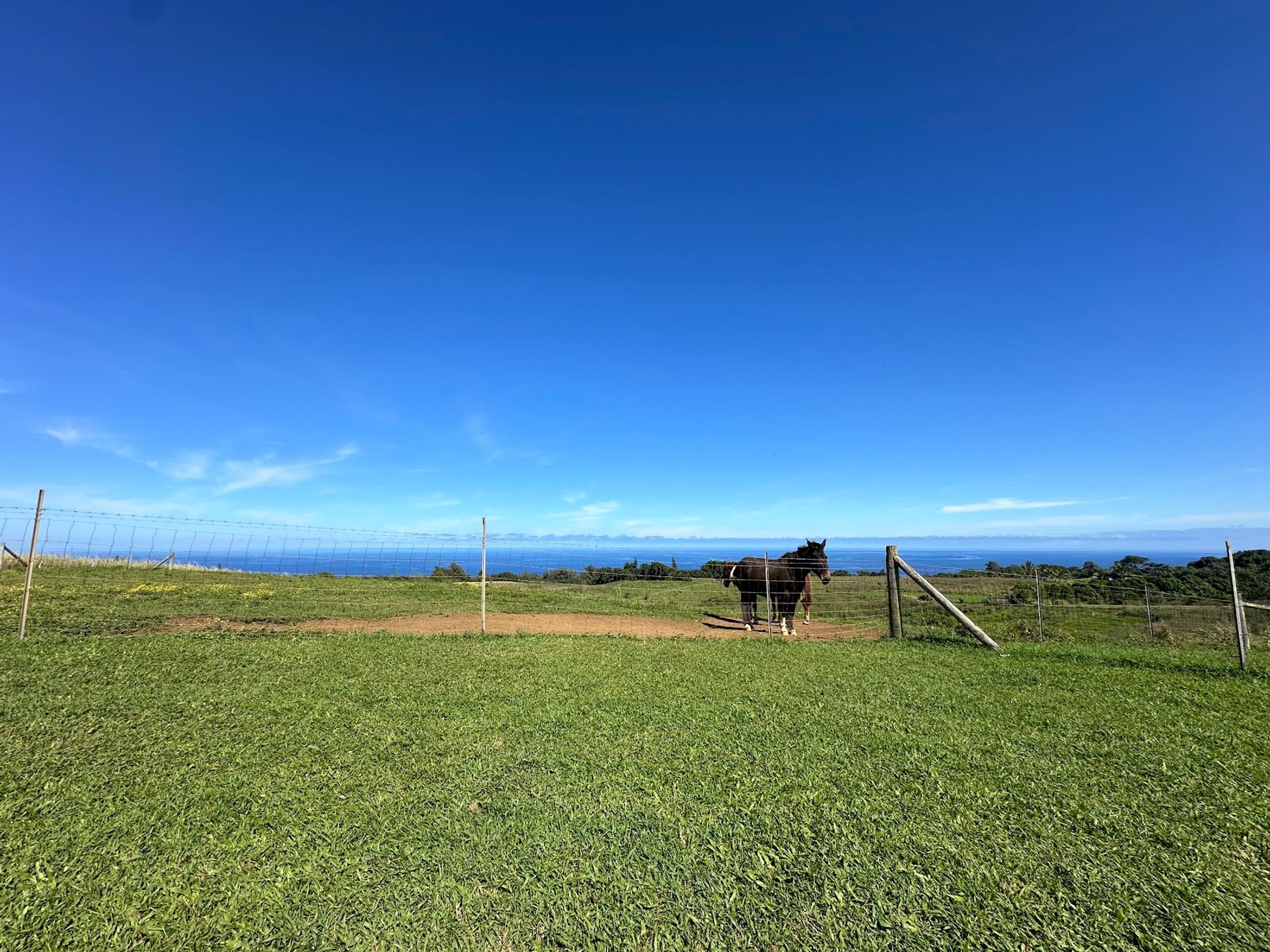 Photo 6 of Fresh Off the Grid, Kohala. in North Kohala, Big Island