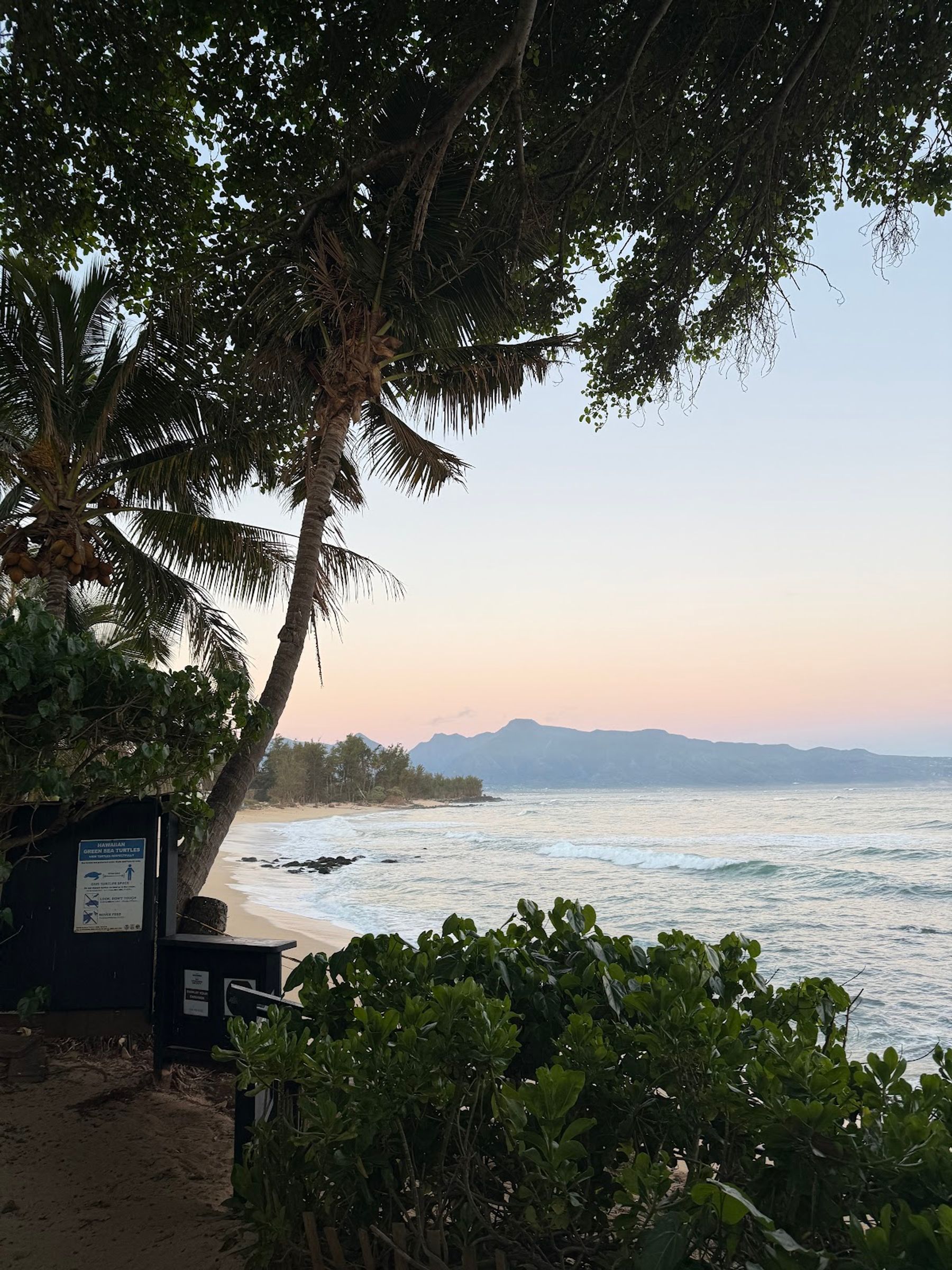 Photo 9 of Paia Inn Hotel in Pāʻia, Maui