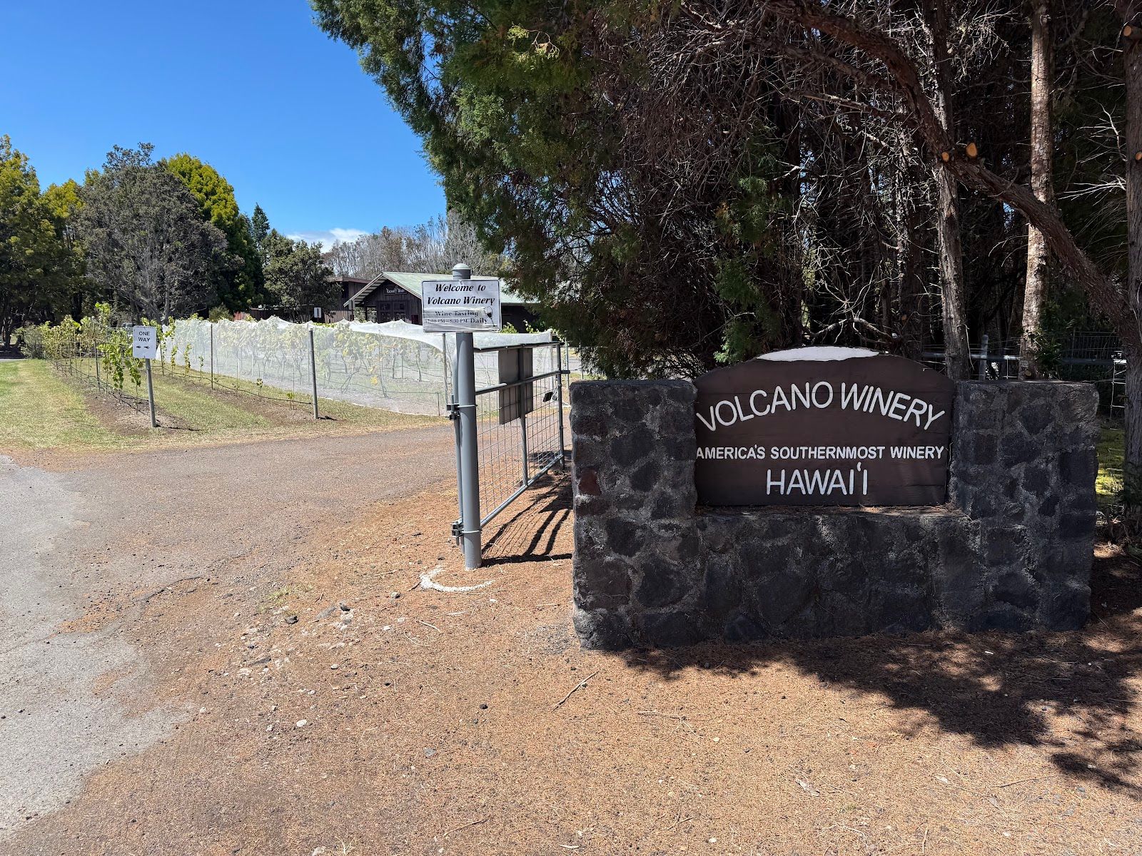 Photo 4 of Volcano Winery in Volcano, Big Island