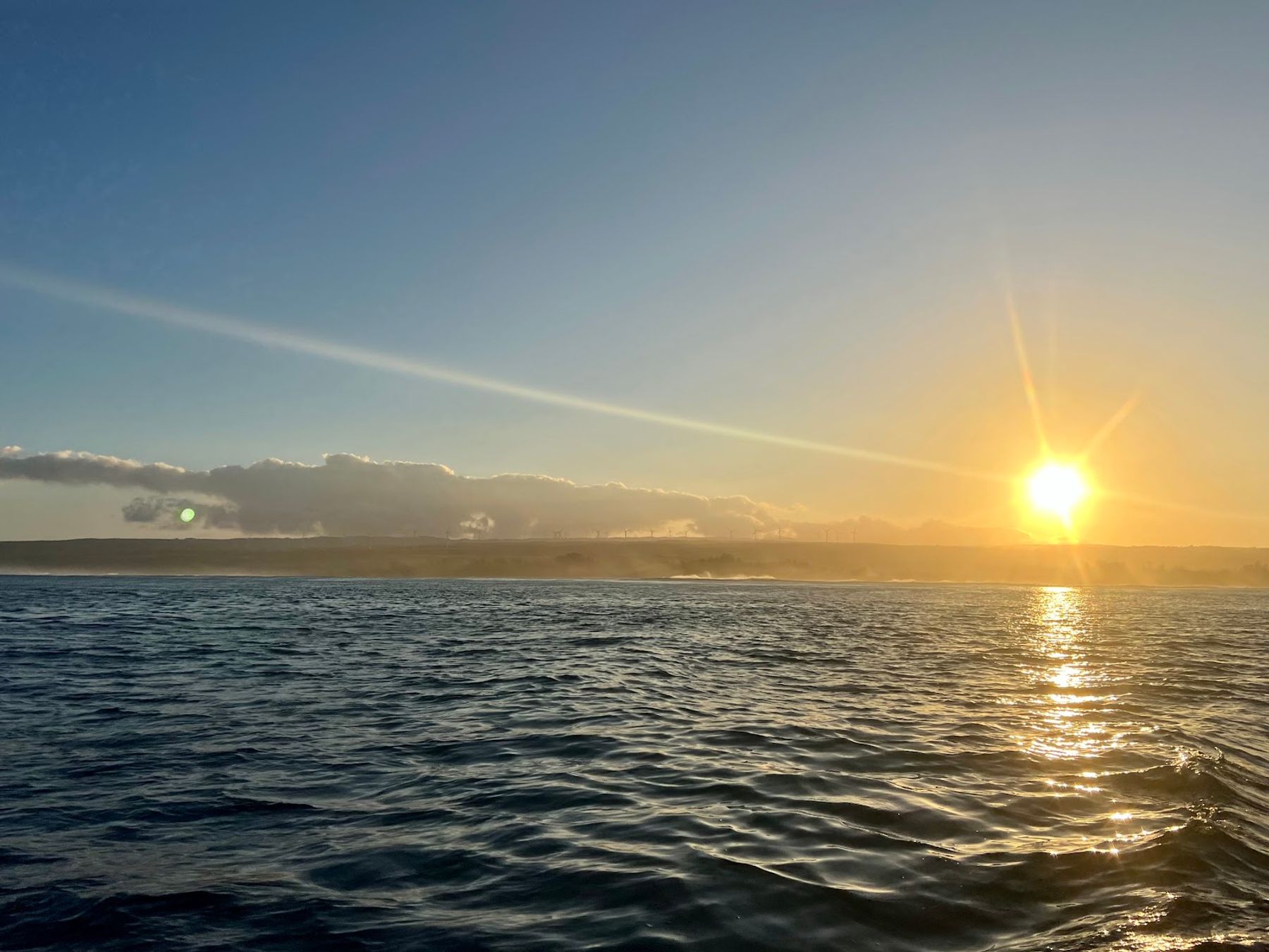 Photo 9 of Hawaii Adventure Diving in Haleʻiwa, Oahu