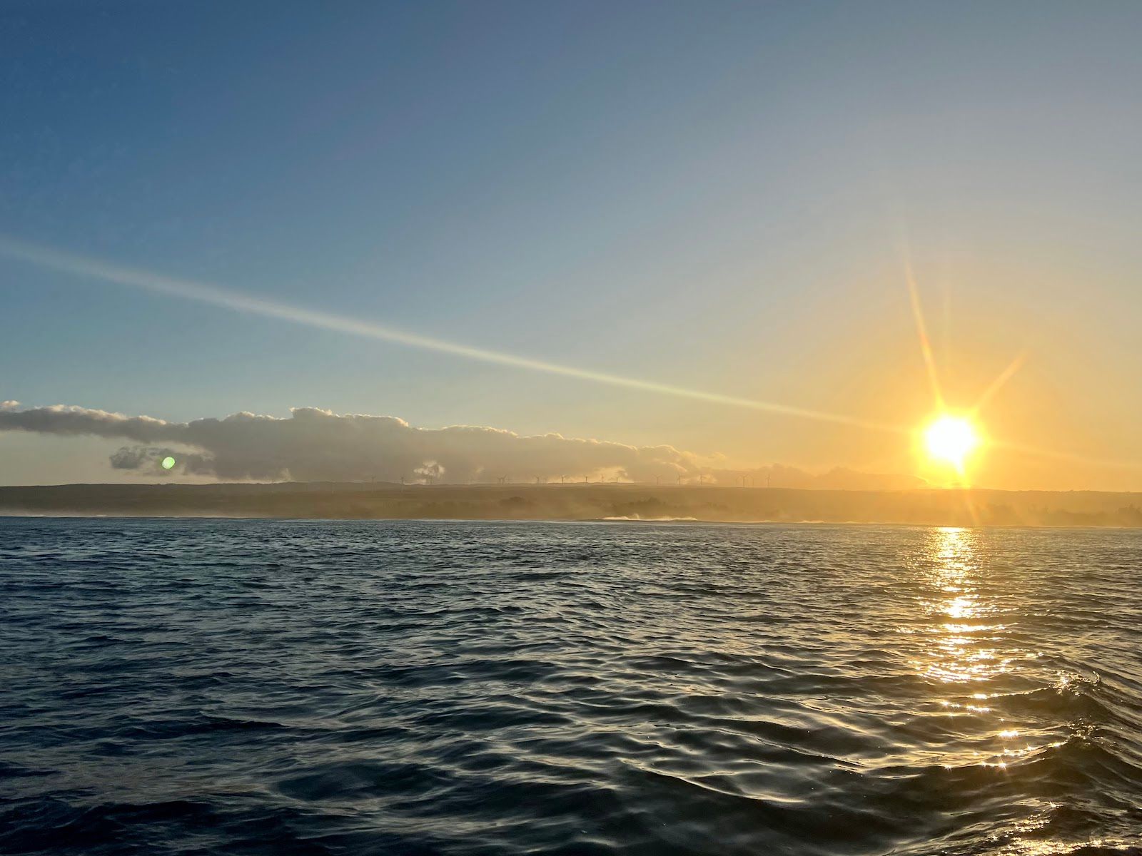 Photo 9 of Hawaii Adventure Diving in Haleʻiwa, Oahu