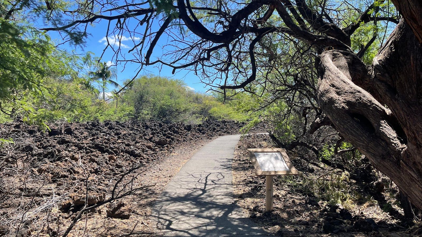 Photo 5 of Puakō Petroglyph Park in Waikoloa, Big Island