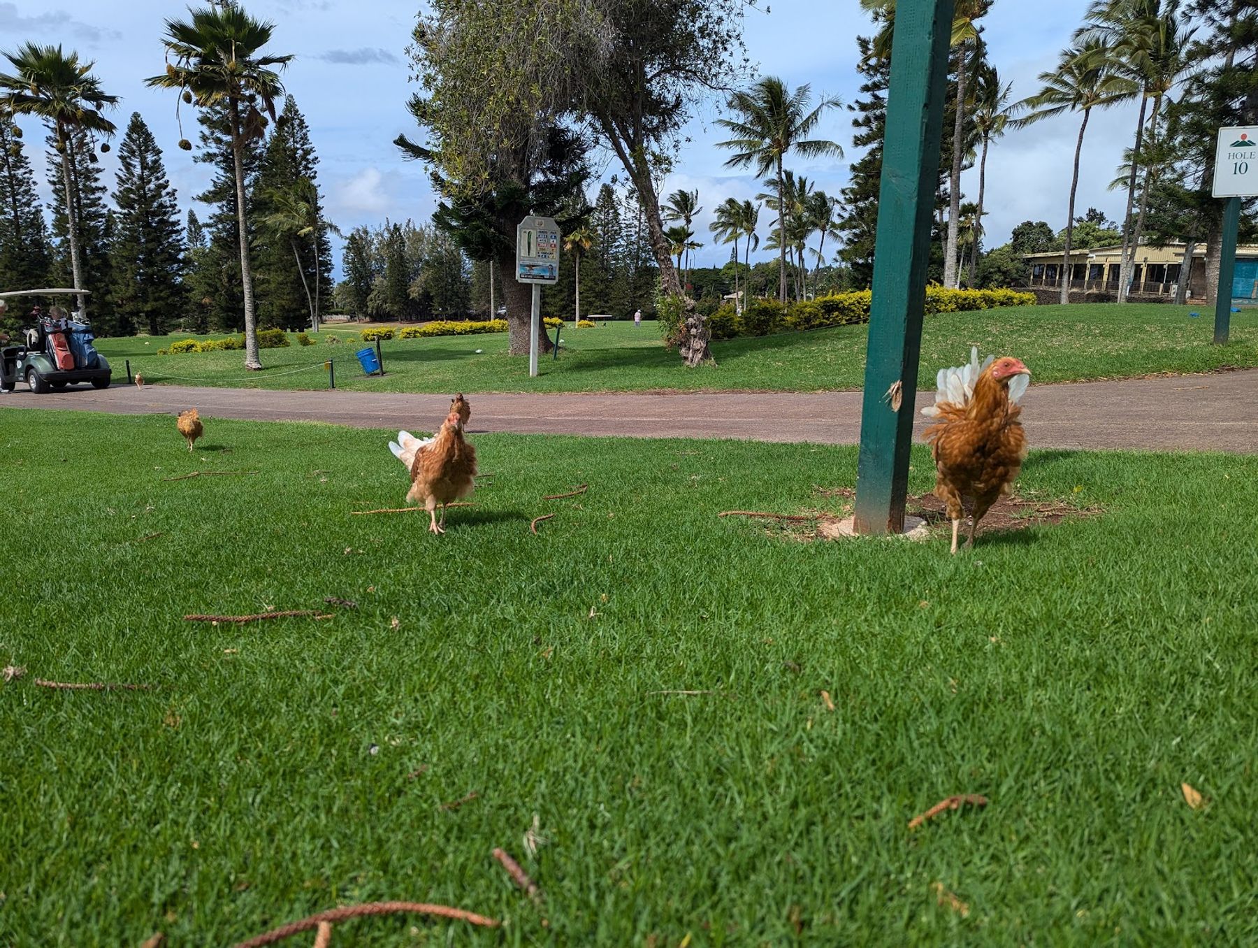 Photo 9 of Pukalani Club House Restaurant & Bakery in Makawao & Pukalani, Maui