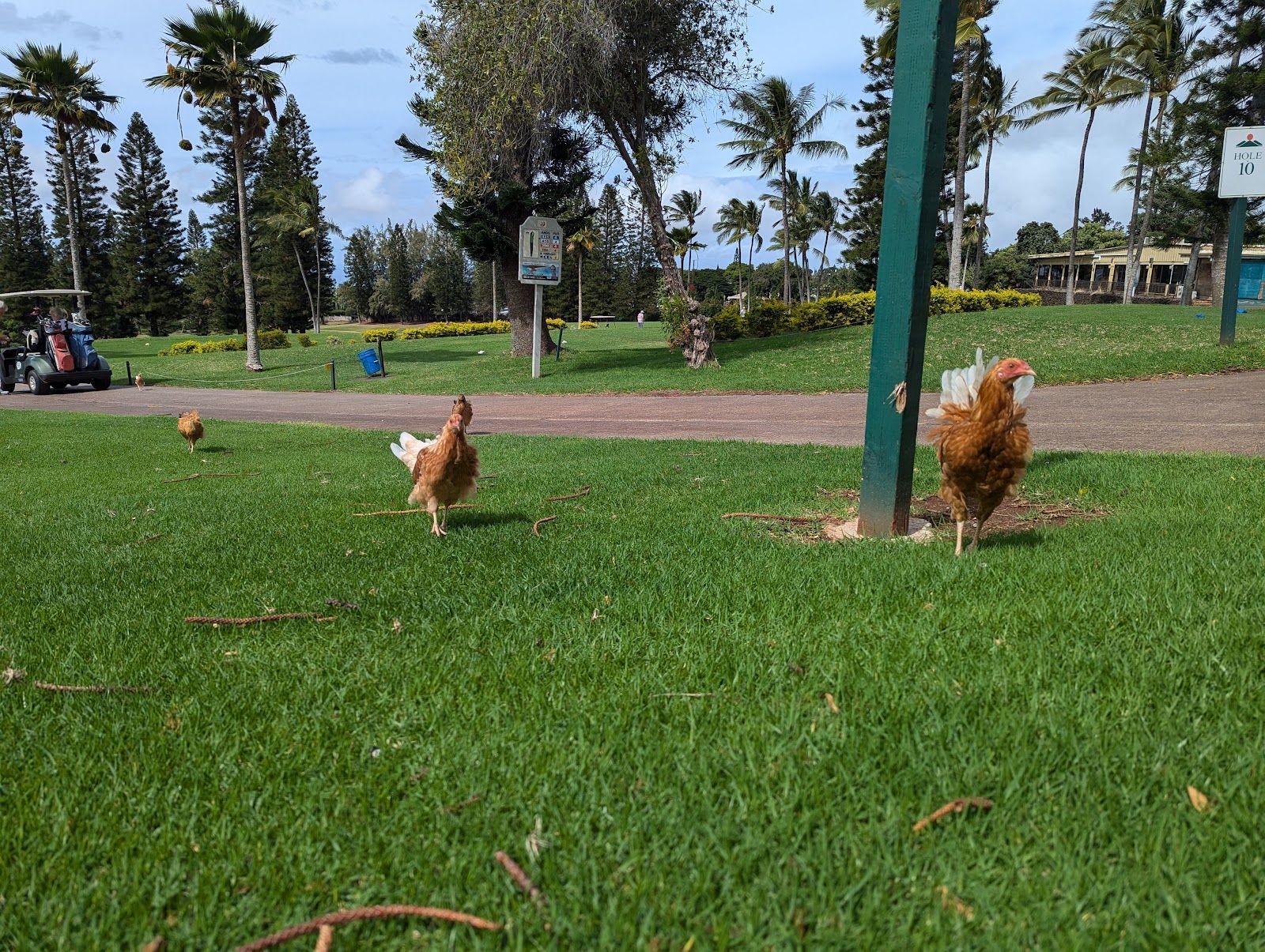 Photo 9 of Pukalani Club House Restaurant & Bakery in Makawao & Pukalani, Maui
