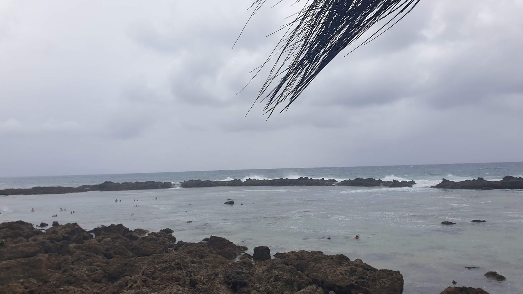Photo 3 of Pupukea Grill in Pūpūkea, Oahu