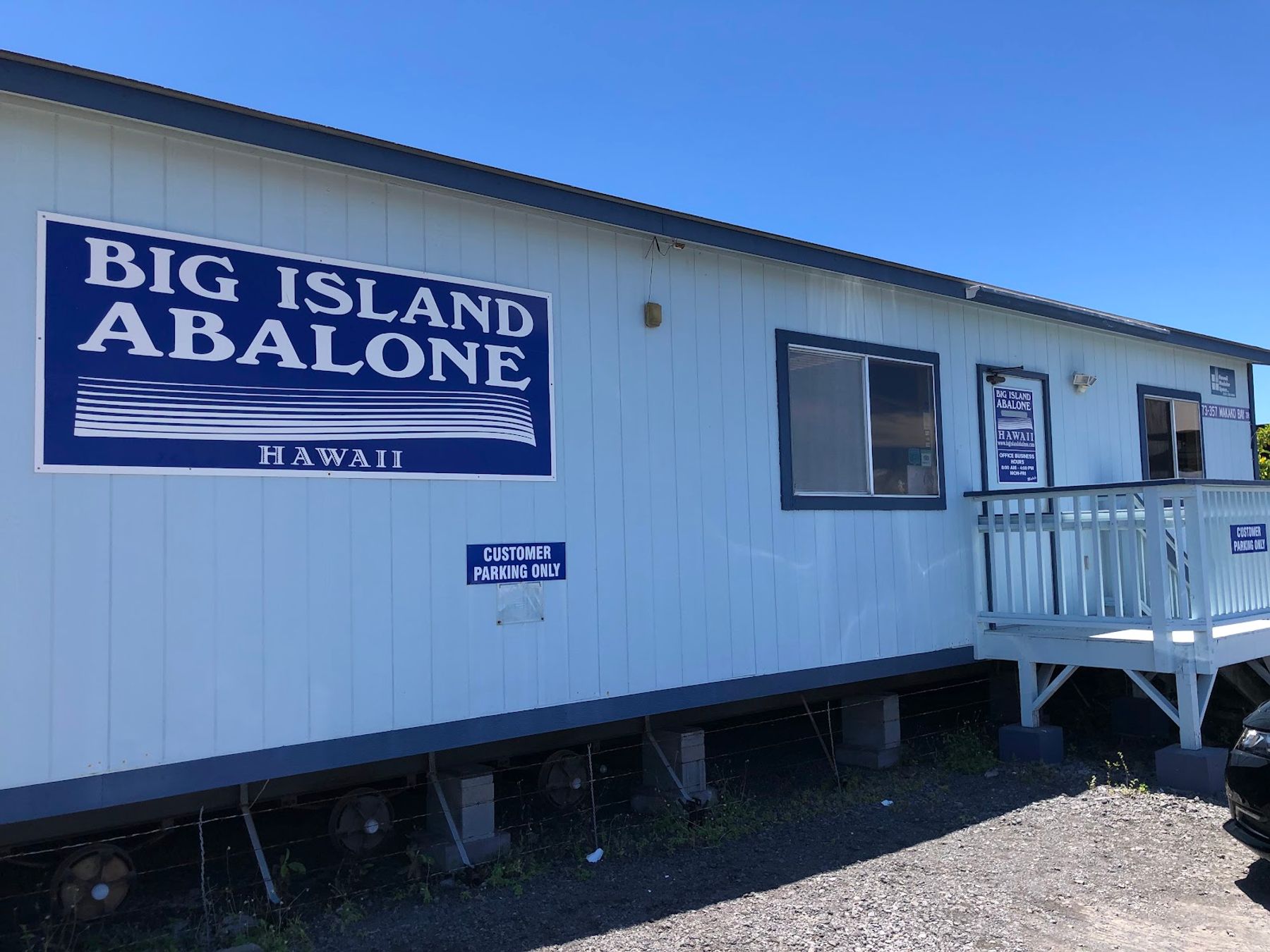 Photo 5 of Big Island Abalone (Kona Aquaculture Inc) in Kailua-Kona, Big Island