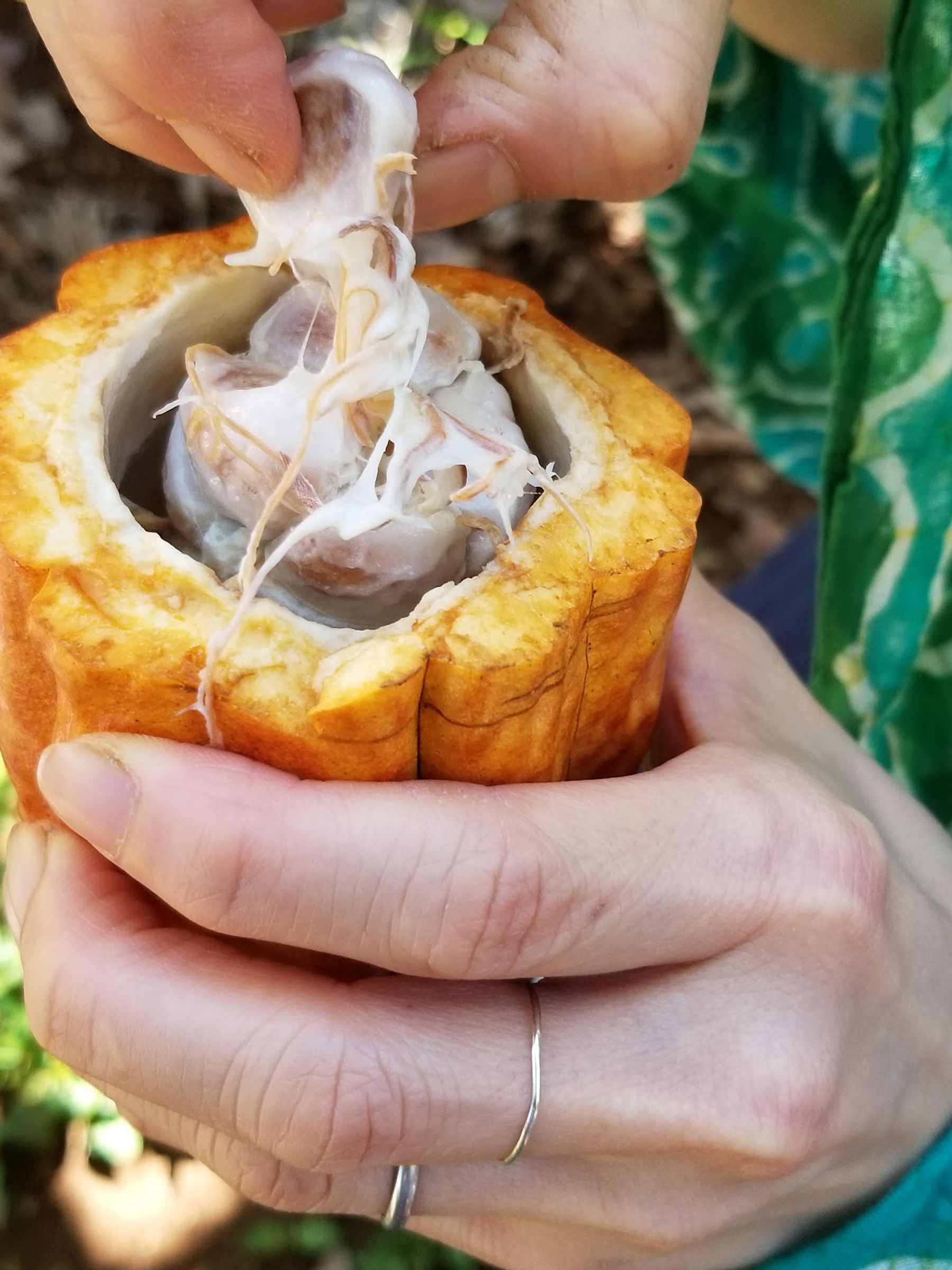 Photo 6 of Mahiʻai Made in Hilo, Big Island