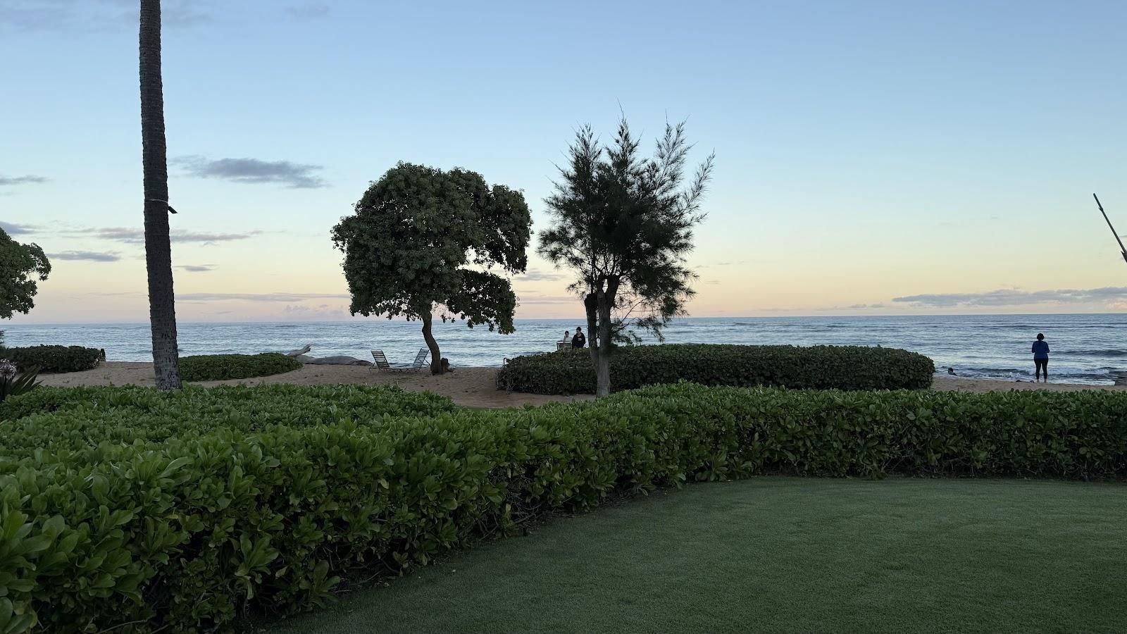 Oasis on the Beach restaurant in Kapaʻa, Kaua‘i photo 5