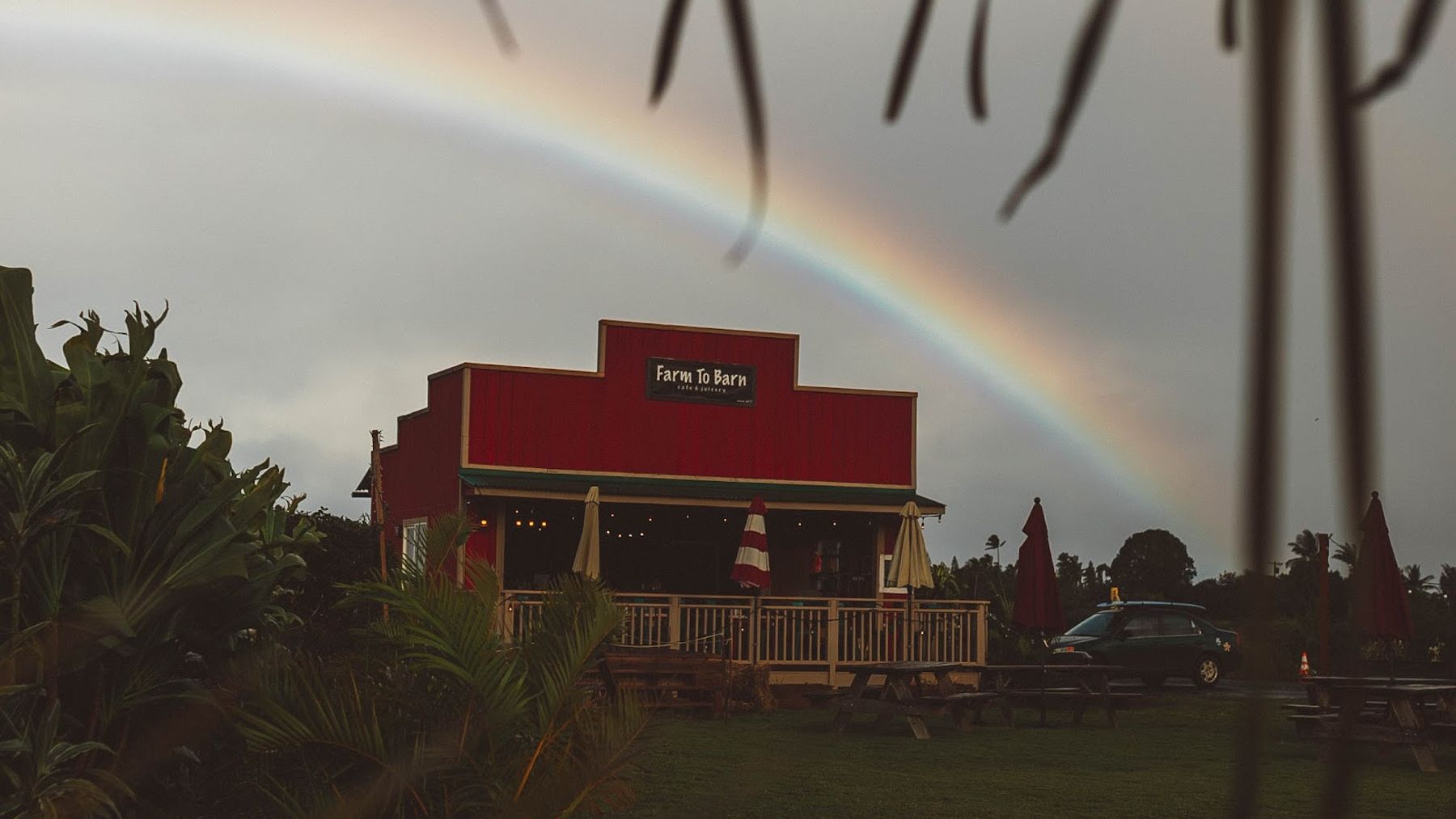 Photo 4 of Farm To Barn Cafe & Juicery in Haleʻiwa, Oahu