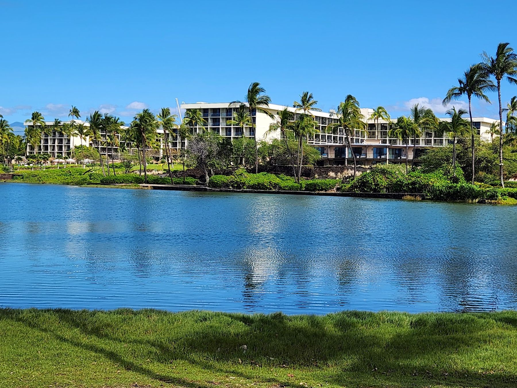 Photo 6 of Waikoloa Beach Marriott Resort & Spa in Waikoloa, Big-island