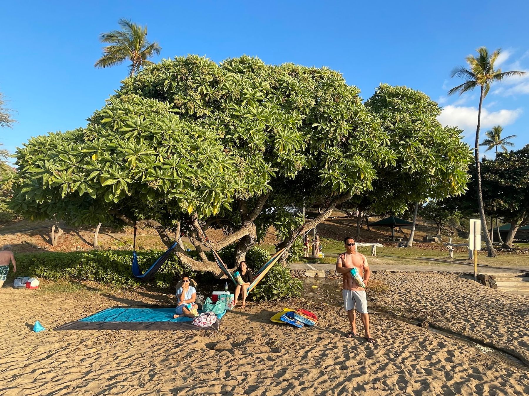 Photo 9 of Hapuna Beach in Mauna Kea Beach, Big Island