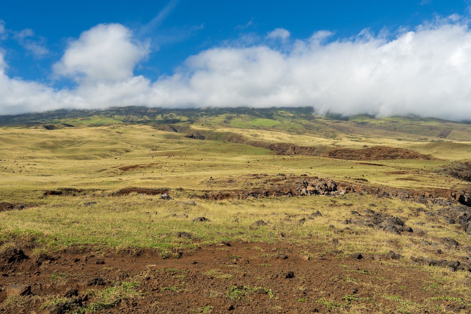 Photo 3 of Ulupalakua Scenic Overlook in Ulupalakua, Maui